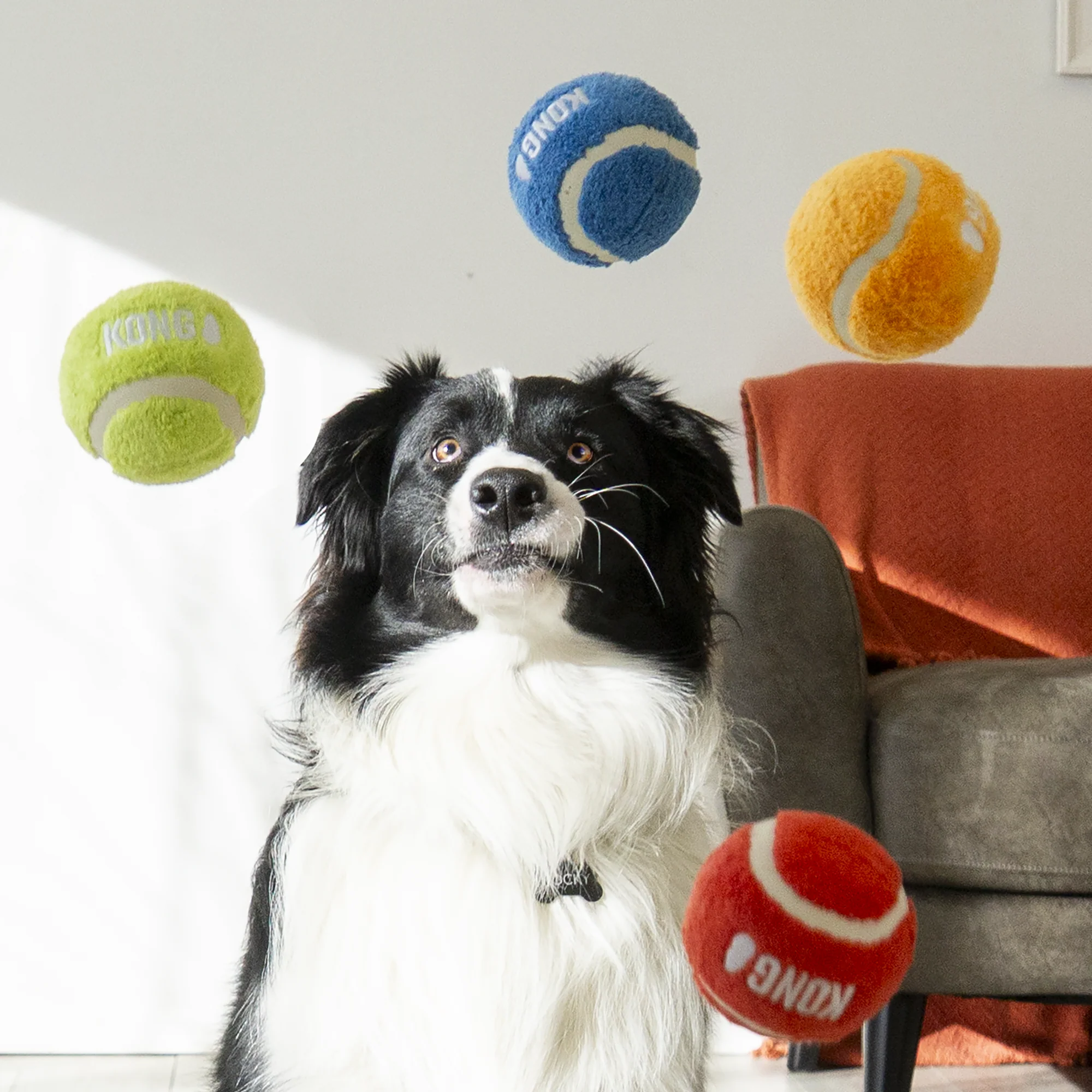 KONG Sport Softies Balls 3-pk Assorted Sm - Image 4