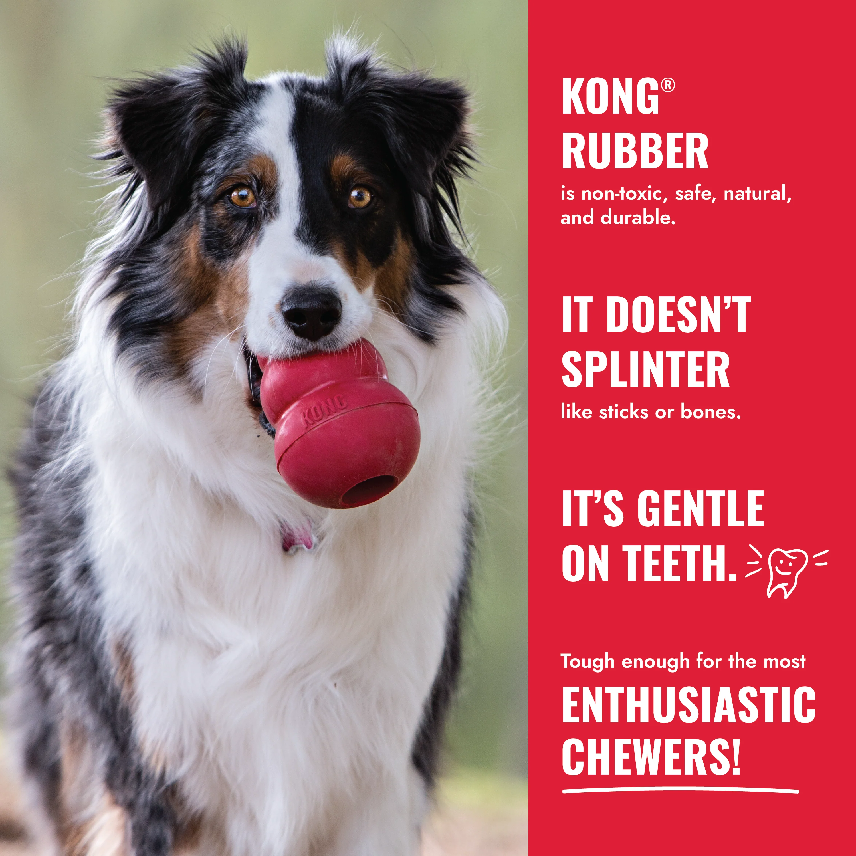 KONG Stuff A Ball Holiday Medium - Image 3