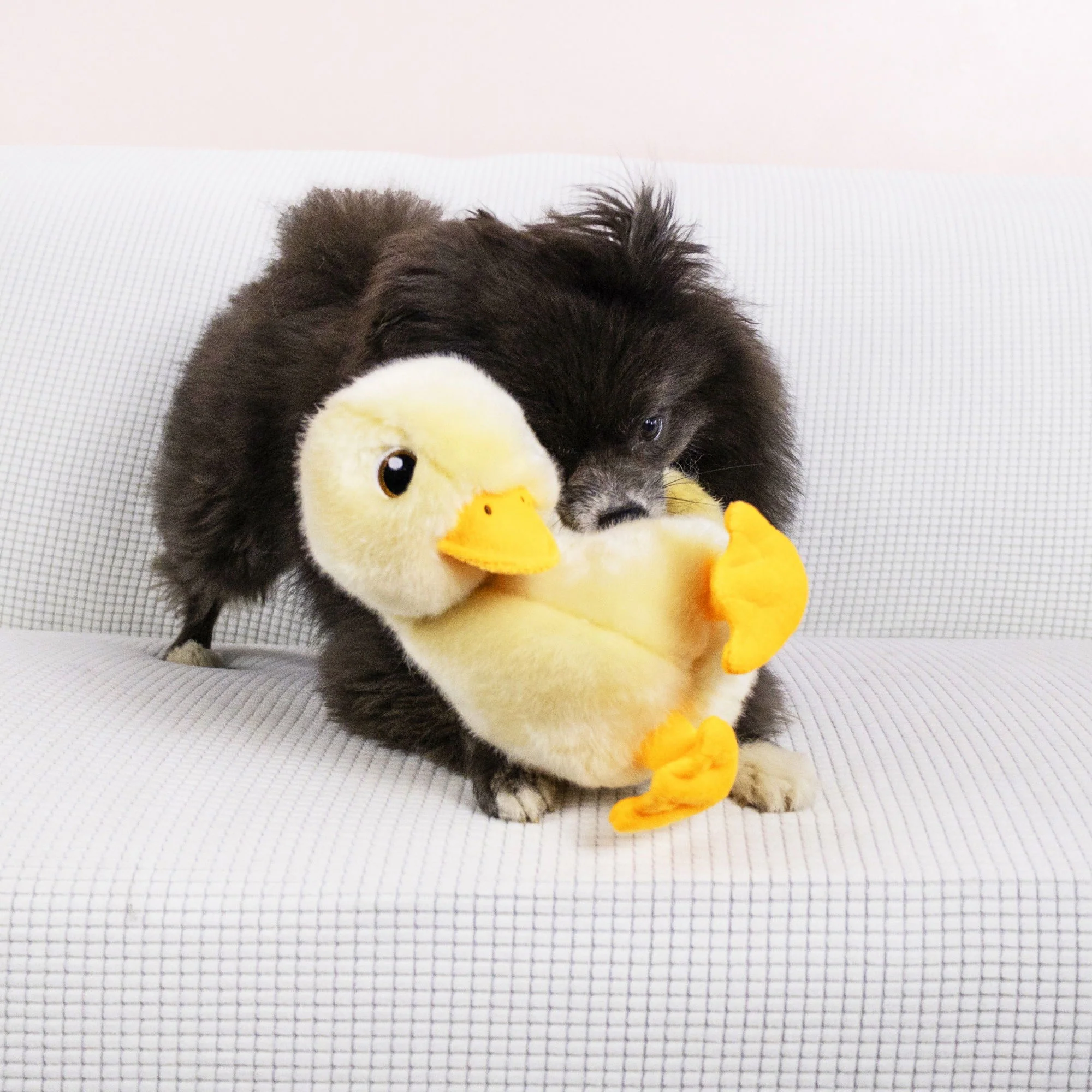 KONG Toughz Duck Medium - Image 2