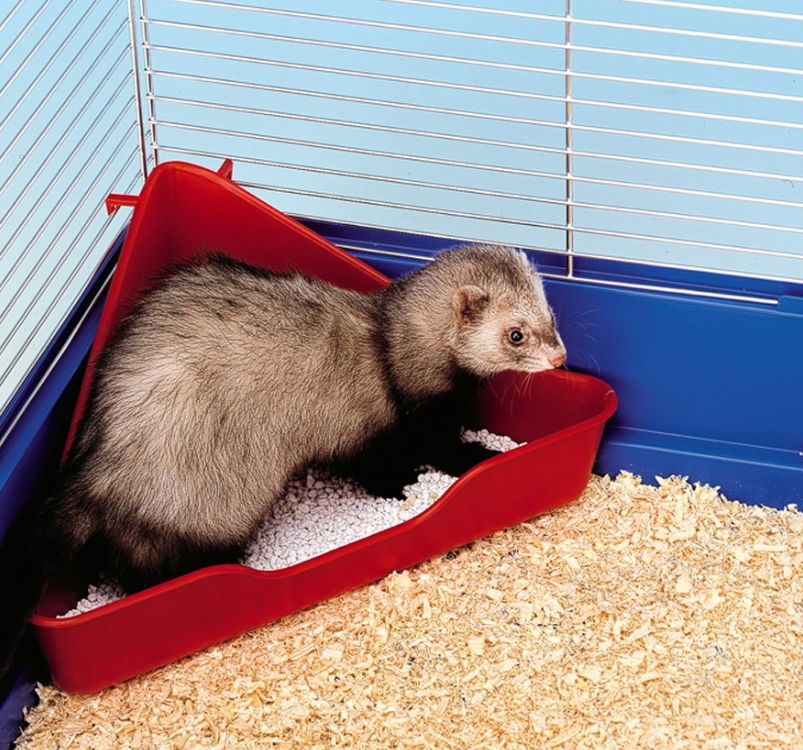L370 Corner Toilet For Small Animals Asstd 27x27x17cm - Image 2