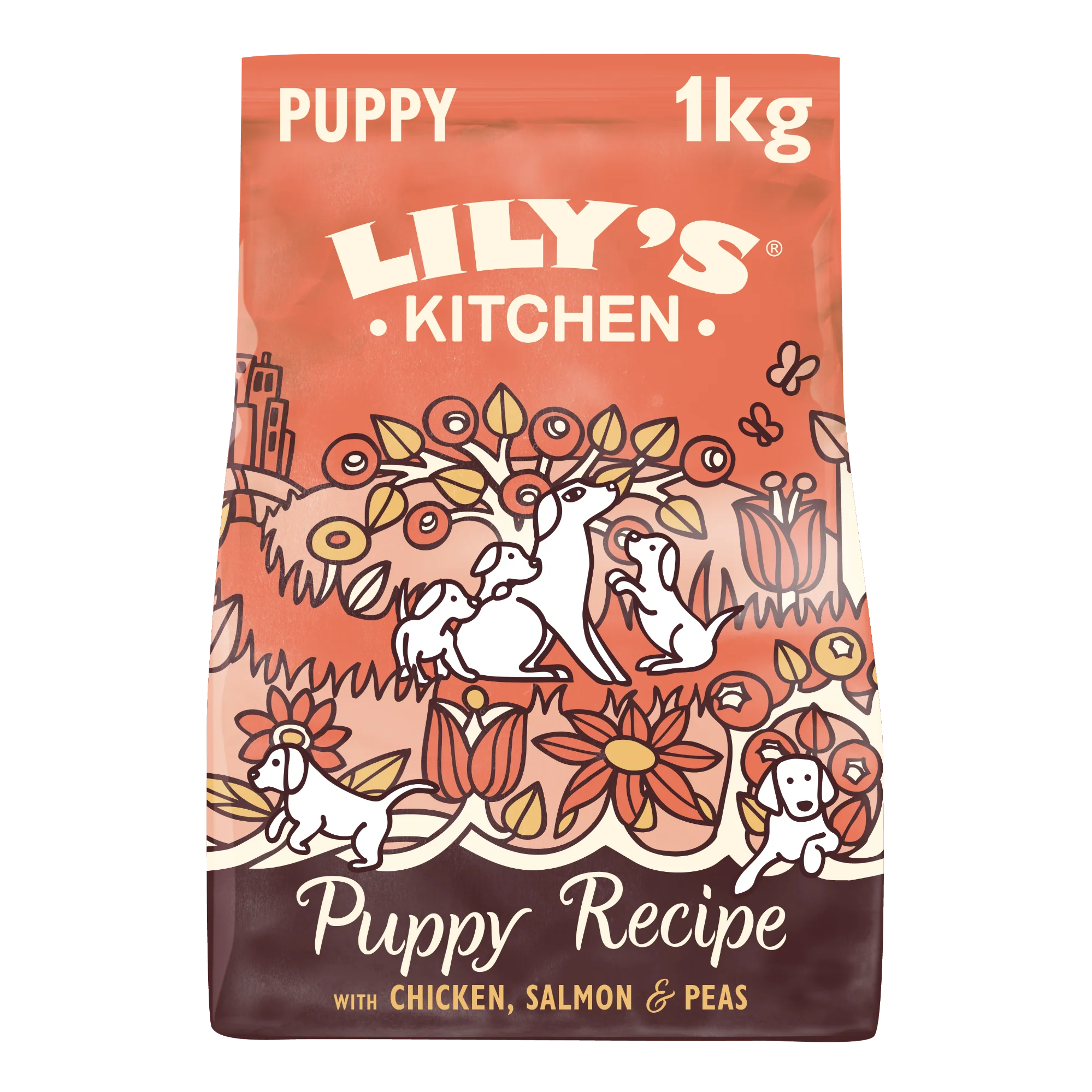 Lily's Kitchen Puppy Chicken/ Salmon GrainFree Recipe 1kg