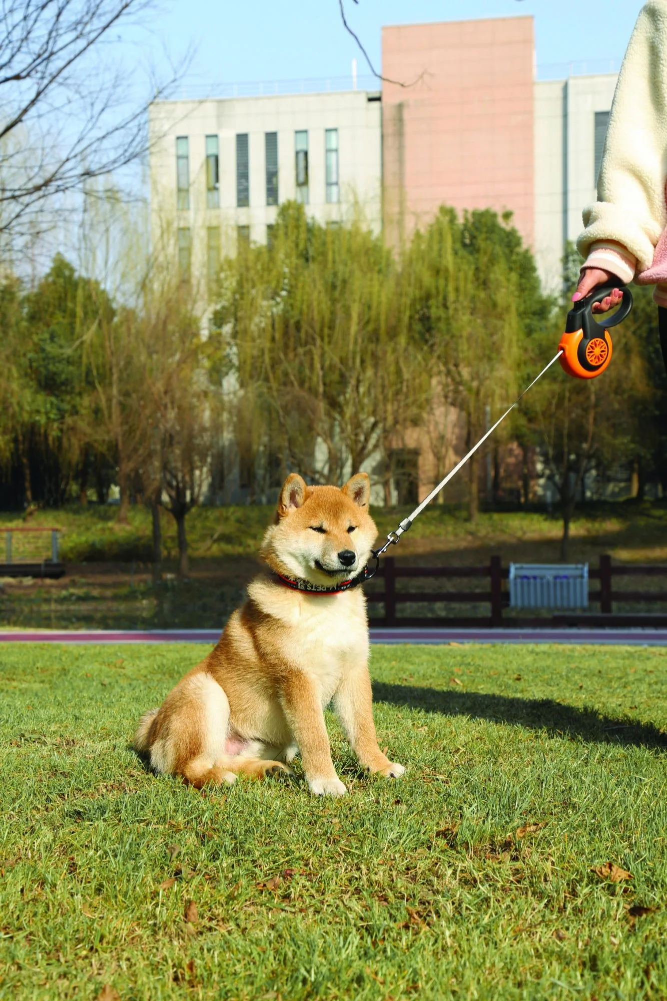 M-PETS Autobrake Retractable Smart Leash - Large - Image 3