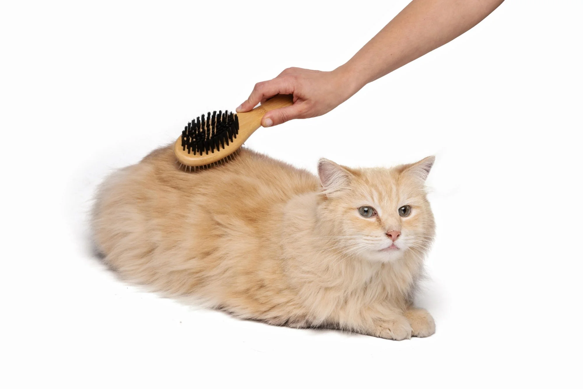 M-PETS Bamboo Double-Sided Pin Brush - Image 3