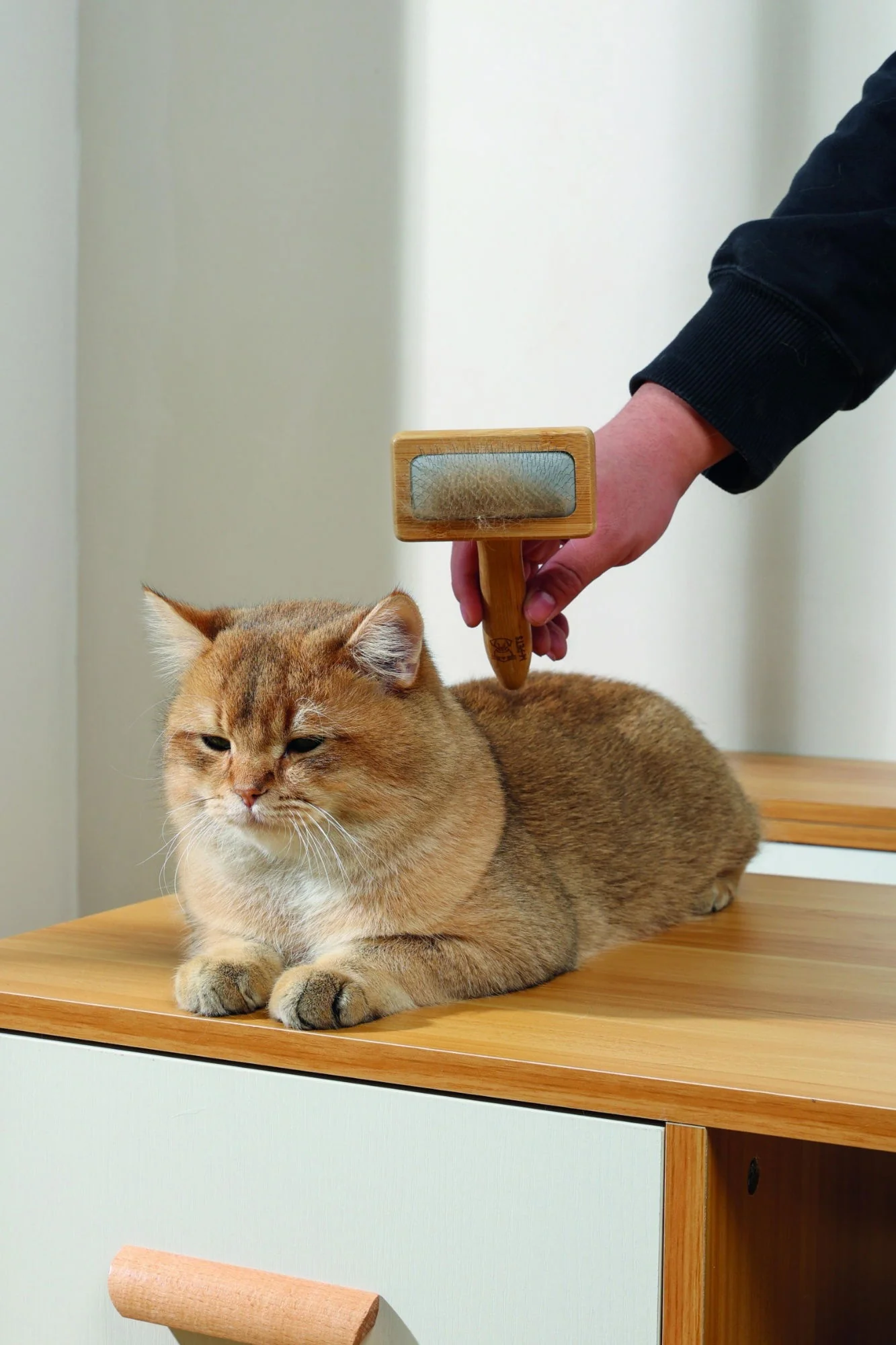 M-PETS Bamboo Slicker Brush - Medium - Image 3