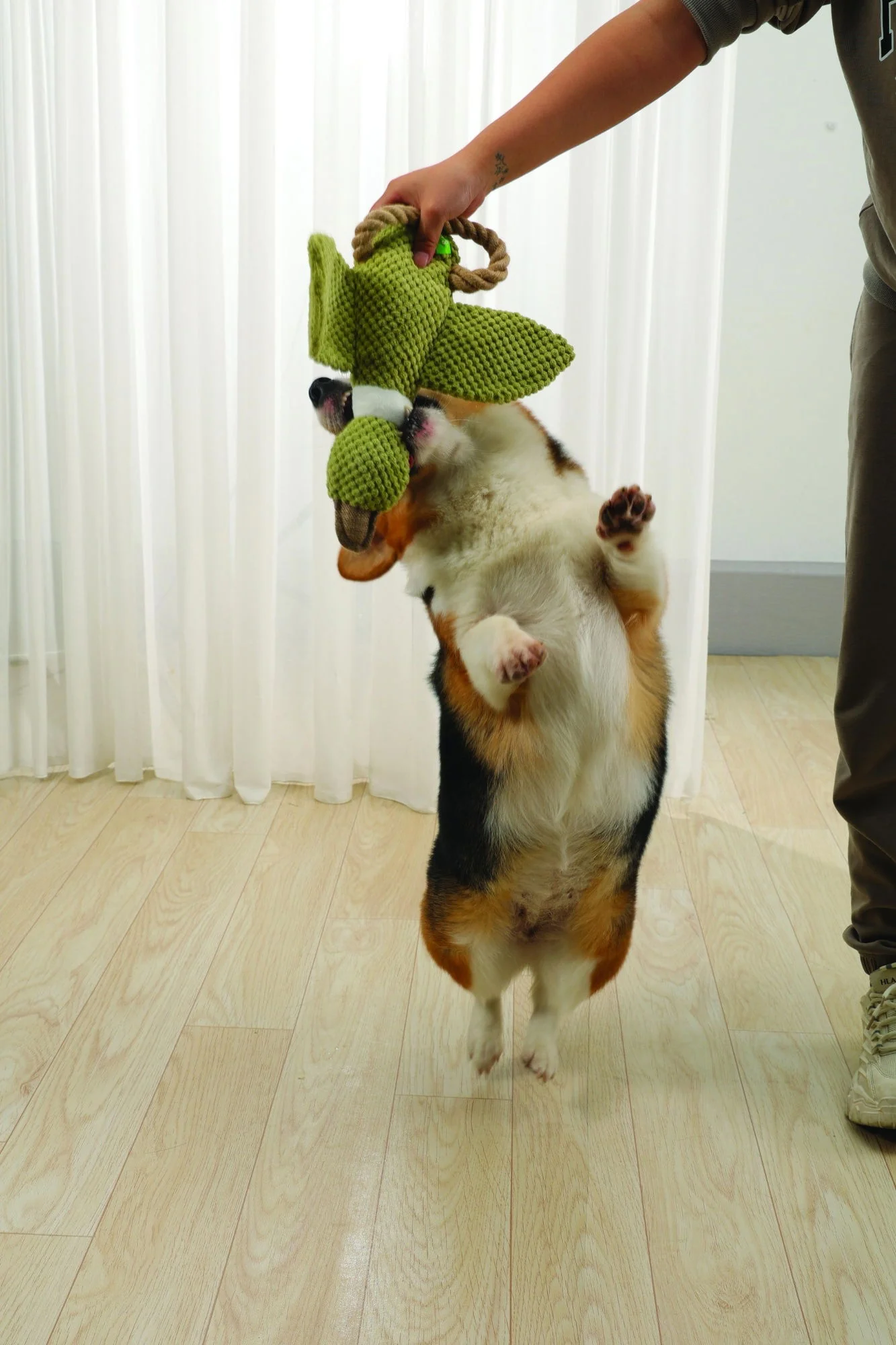 M-PETS Buck Eco Dog Toy - Image 4