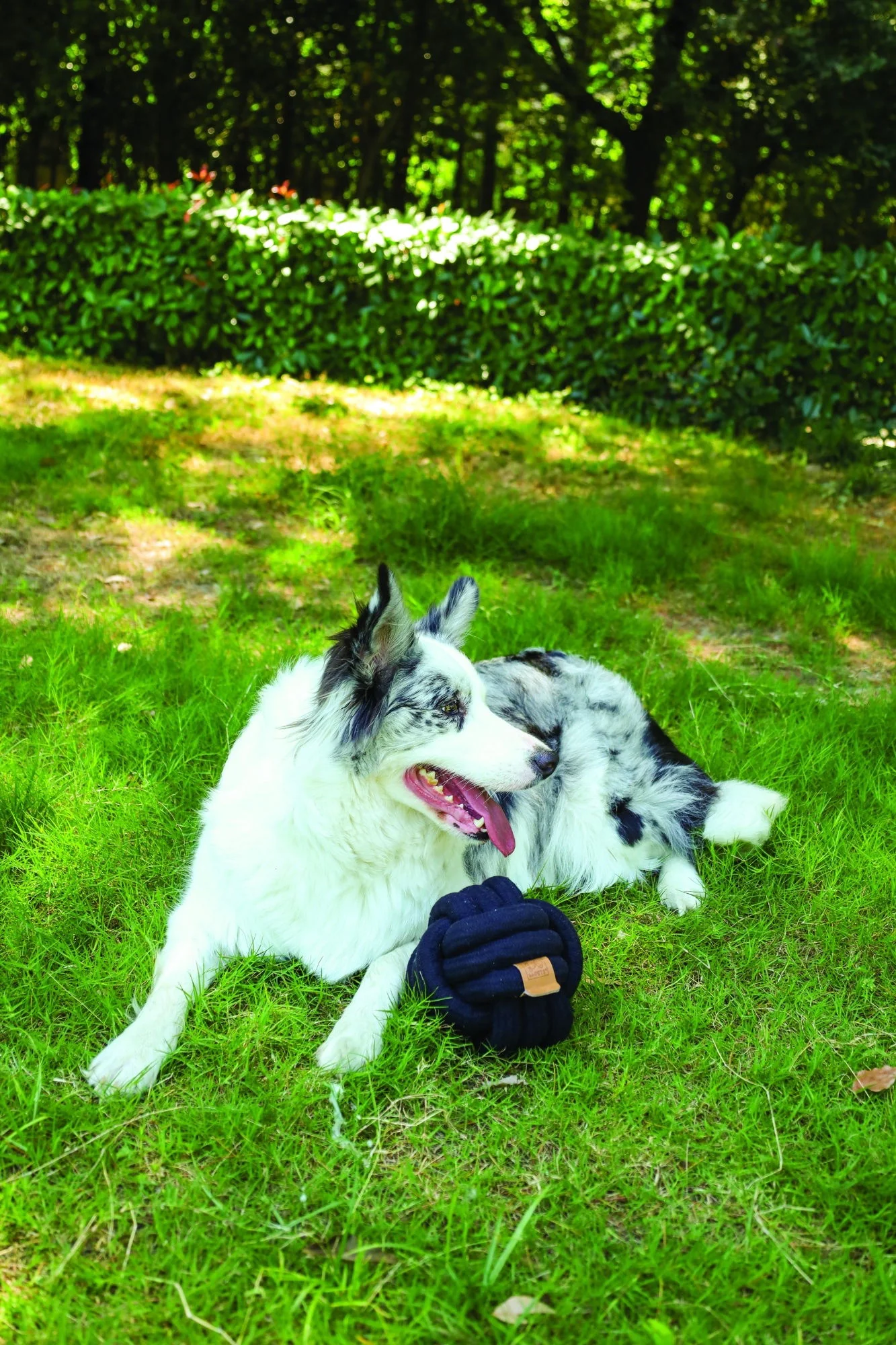 M-PETS Coto Black Ball 15 Cm - Image 2