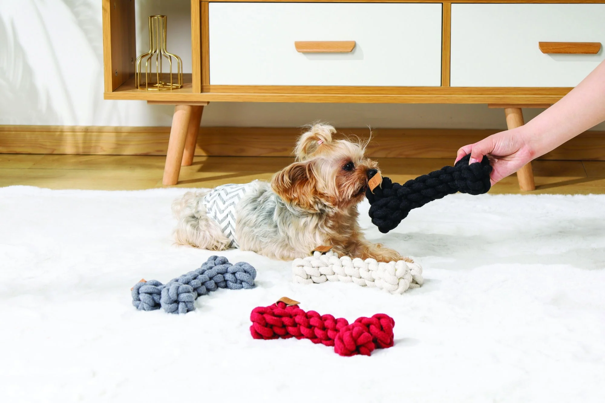 M-PETS Coto Black Bone 19 Cm - Image 2