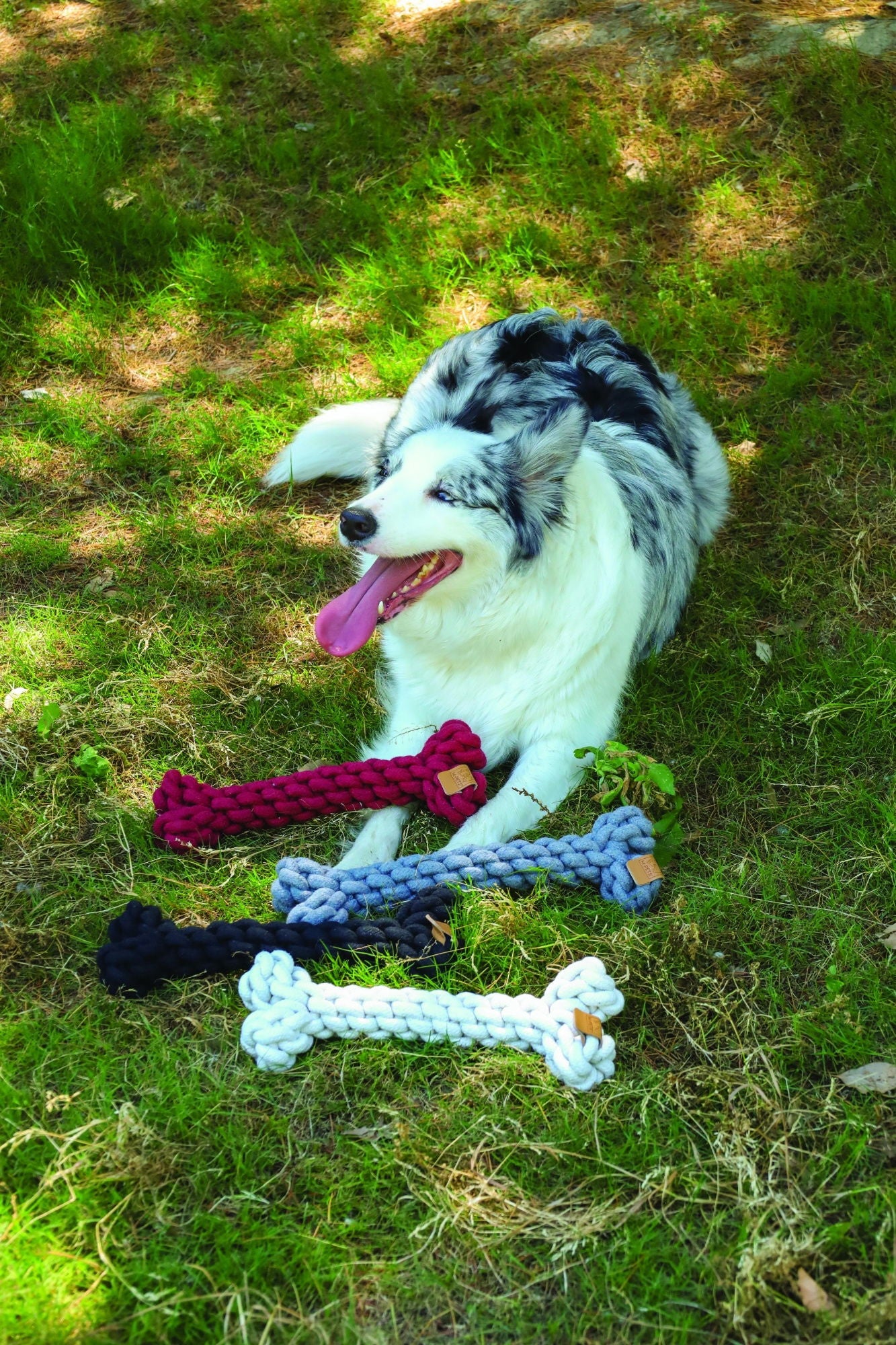 M-PETS Coto Black Bone 30 Cm - Image 2