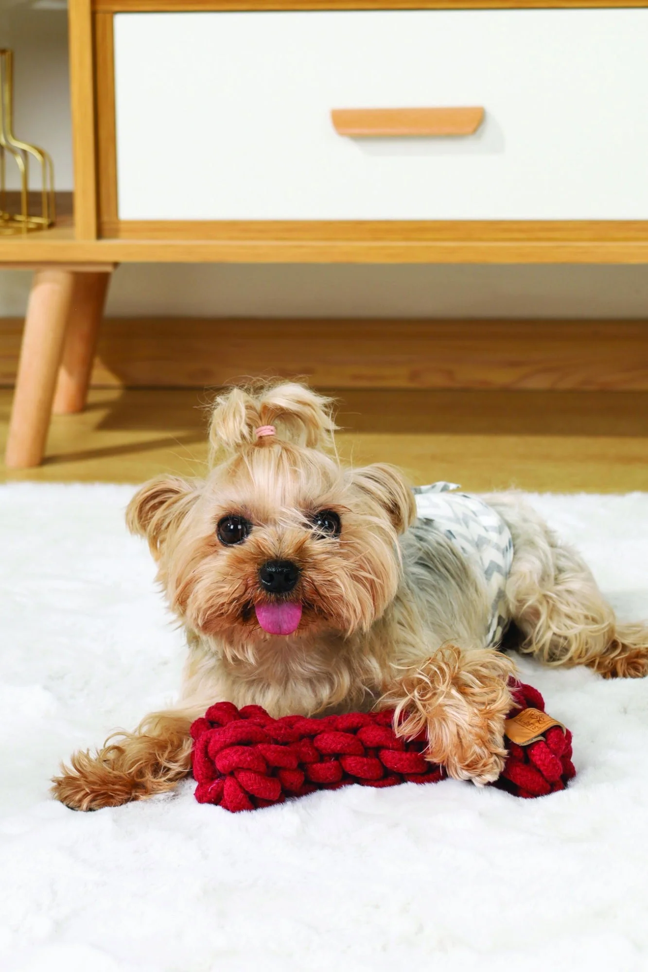 M-PETS Coto Eco Rope Dog Toys Red Bone 19 Cm - Image 3
