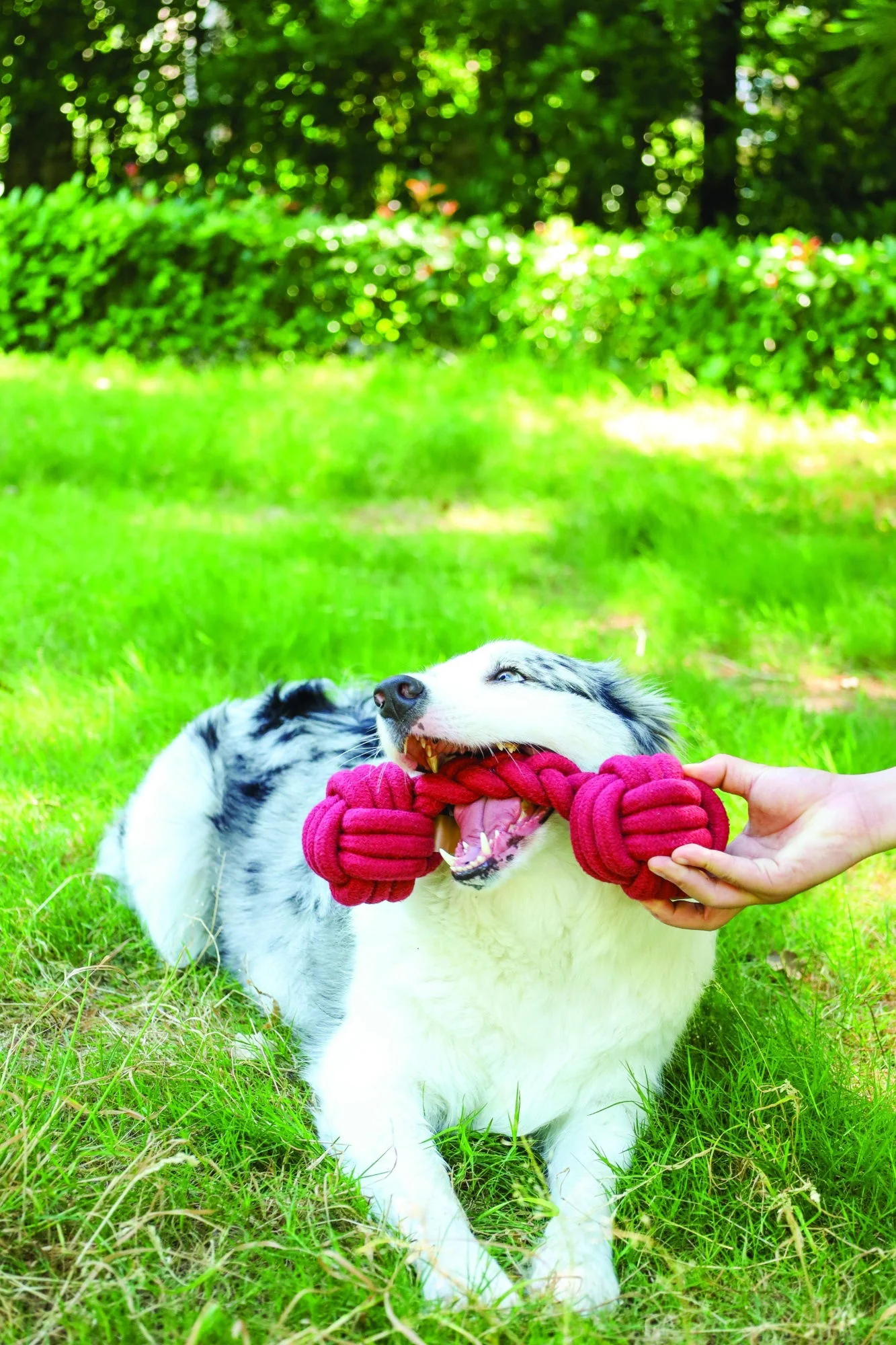 M-PETS Coto Eco Rope Dog Toys Red Duo Ball 28cm - Image 2