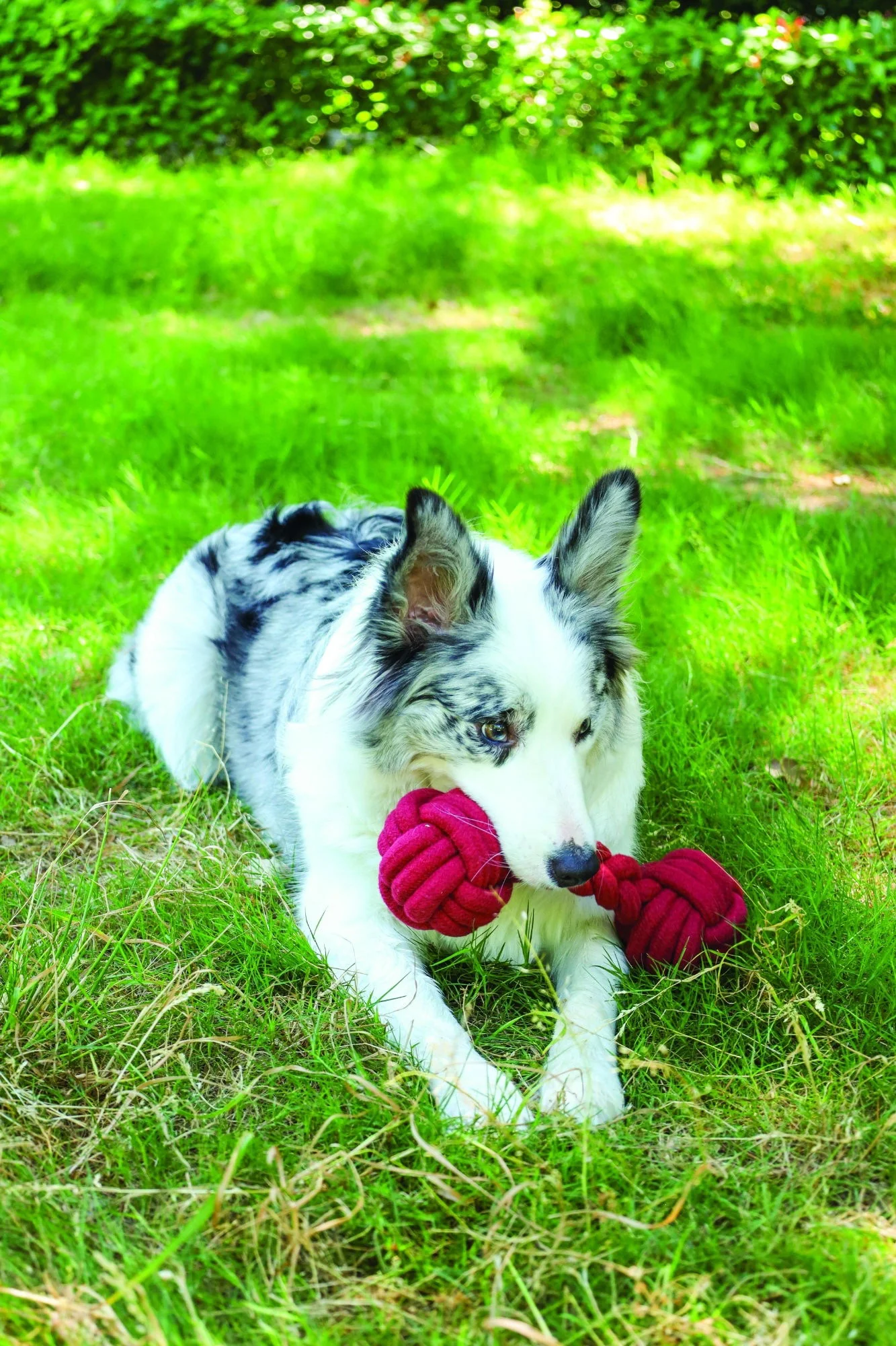 M-PETS Coto Eco Rope Dog Toys Red Duo Ball 28cm - Image 3