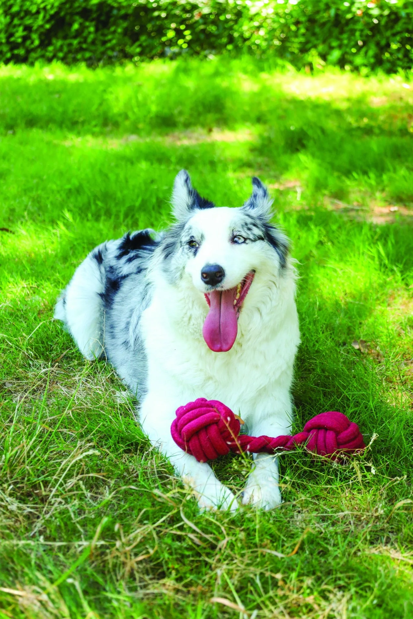 M-PETS Coto Eco Rope Dog Toys Red Duo Ball 28cm - Image 4