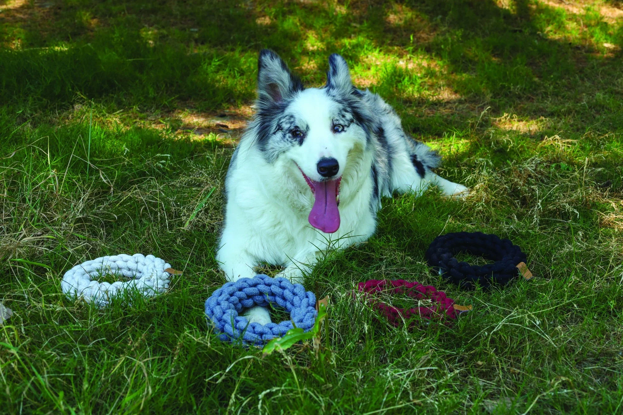 M-PETS Coto Grey Ring 18 Cm - Image 2
