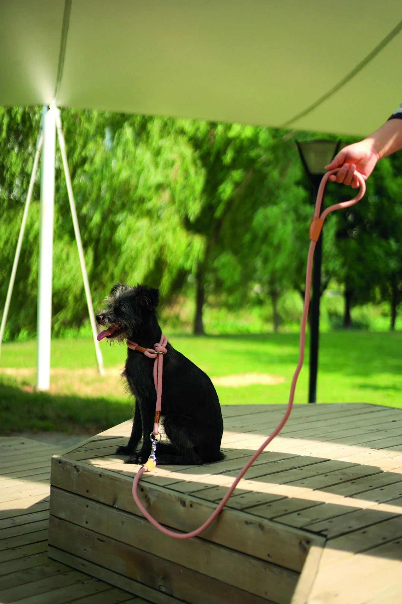 M-PETS Eco Dog Leash & Collar 2 In 1 M - Pink - Image 2