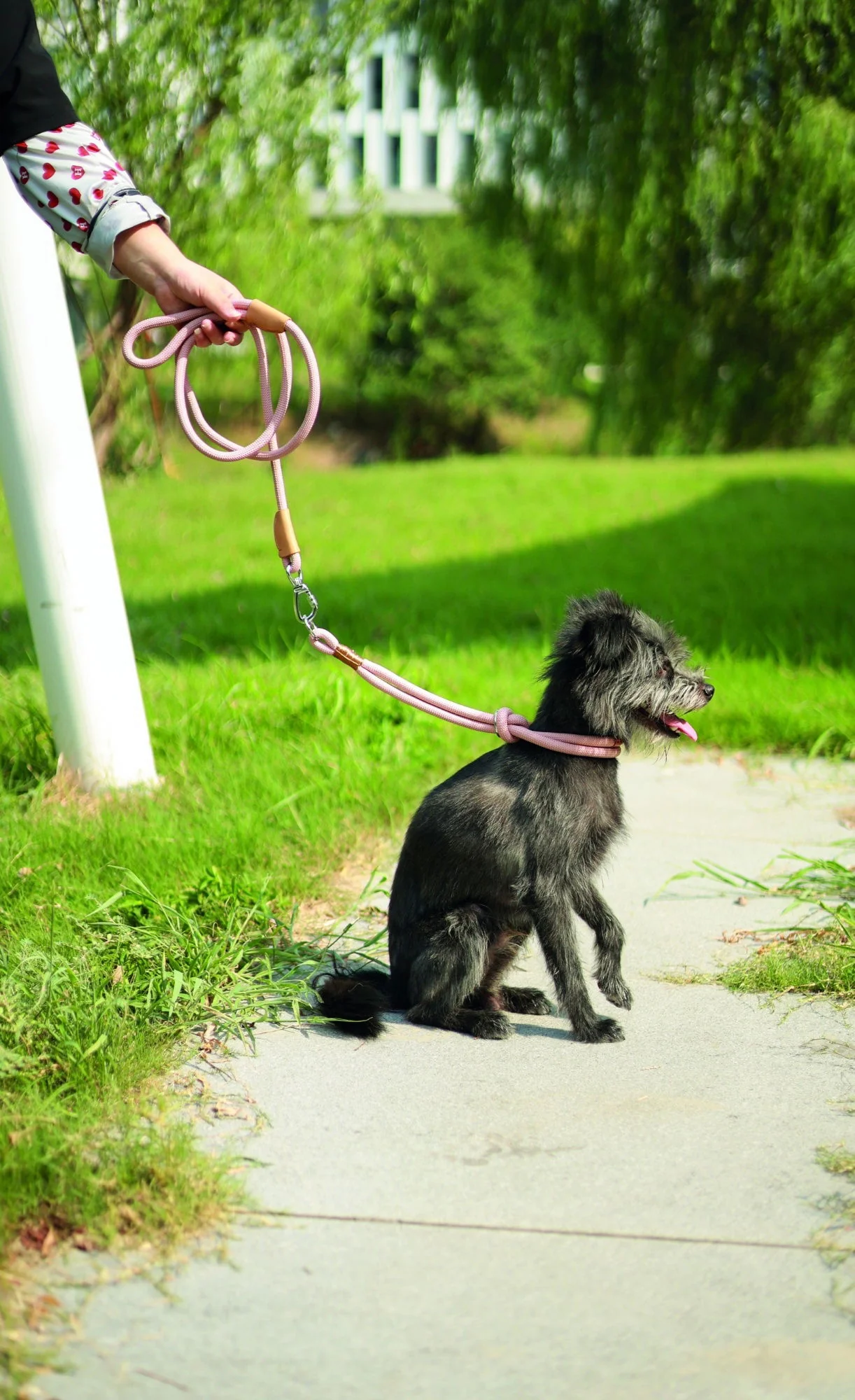 M-PETS Eco Dog Leash & Collar 2 In 1 M - Pink - Image 3