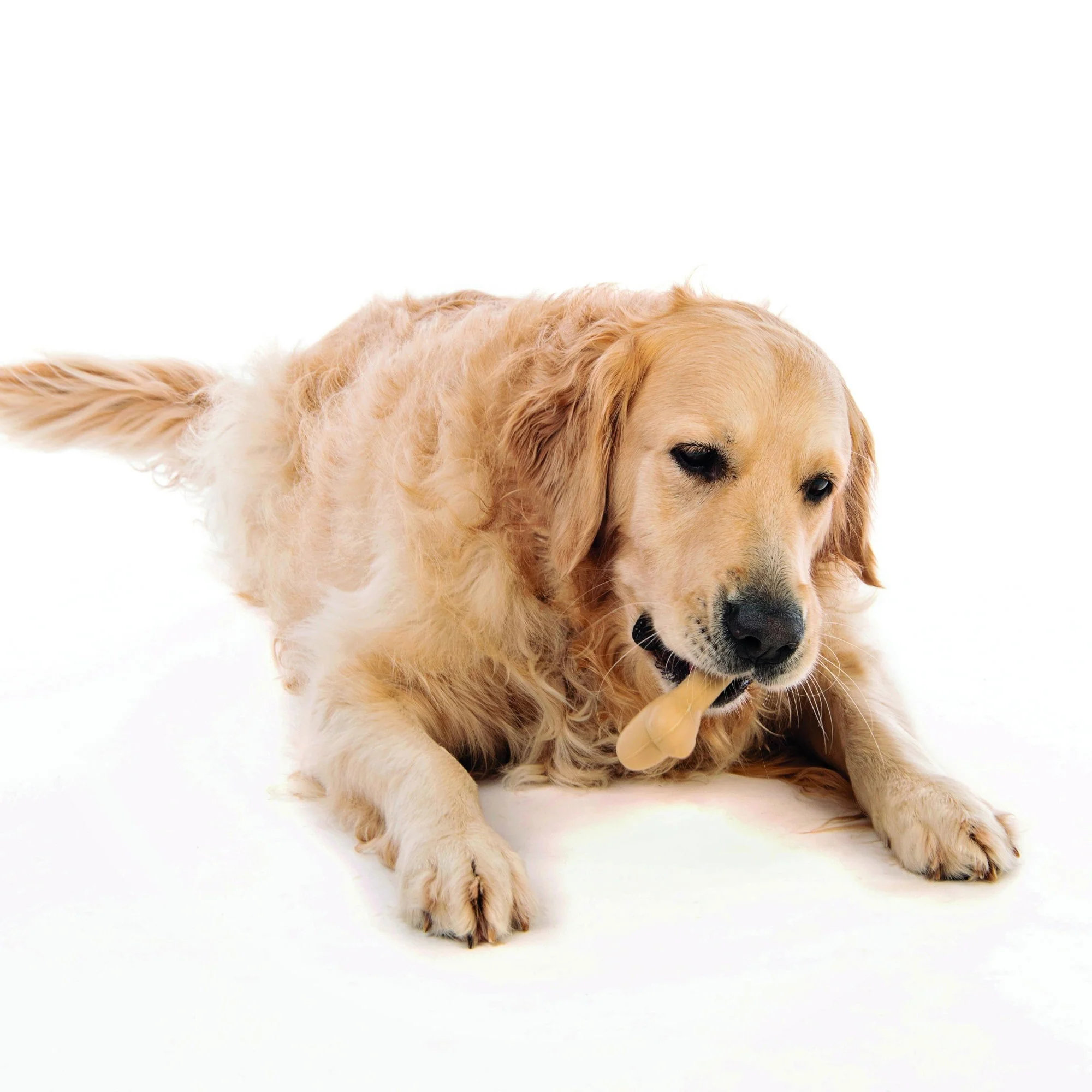 M-PETS Greenbo Natural Rubber Bones - Large - Image 2