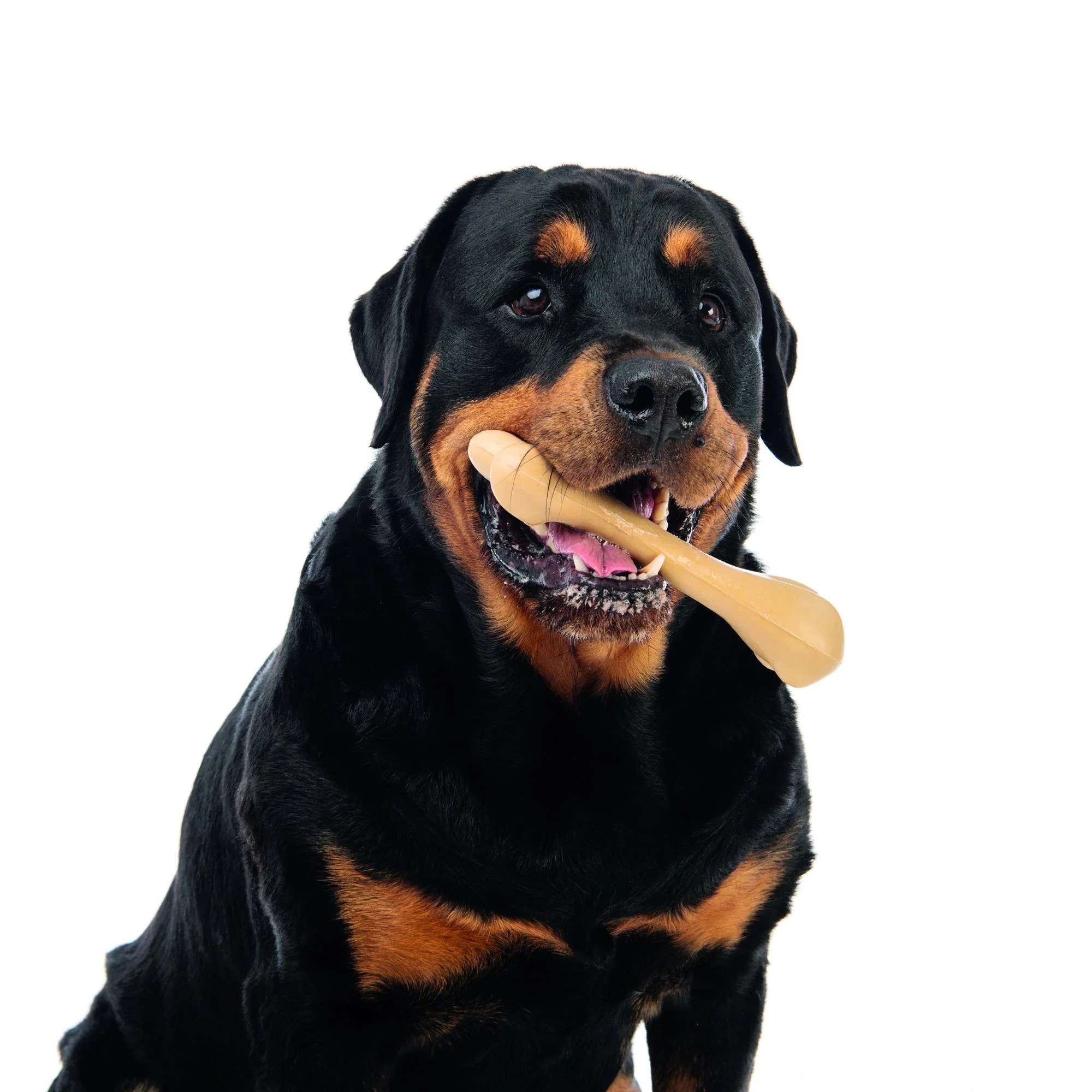 M-PETS Greenbo Natural Rubber Bones - Large - Image 3