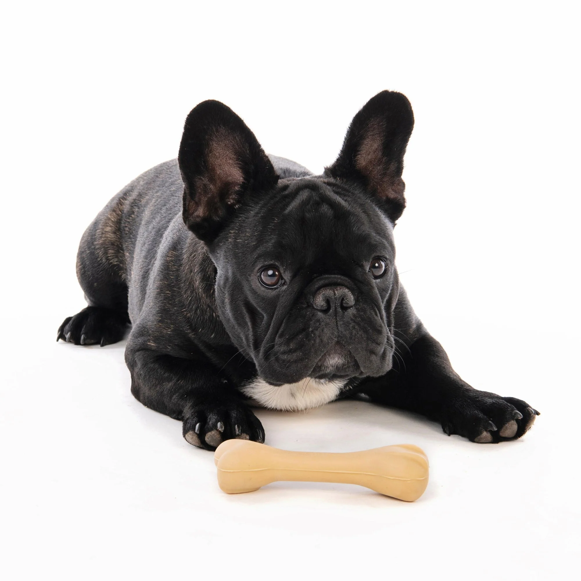 M-PETS Greenbo Natural Rubber Bones - Small - Image 2