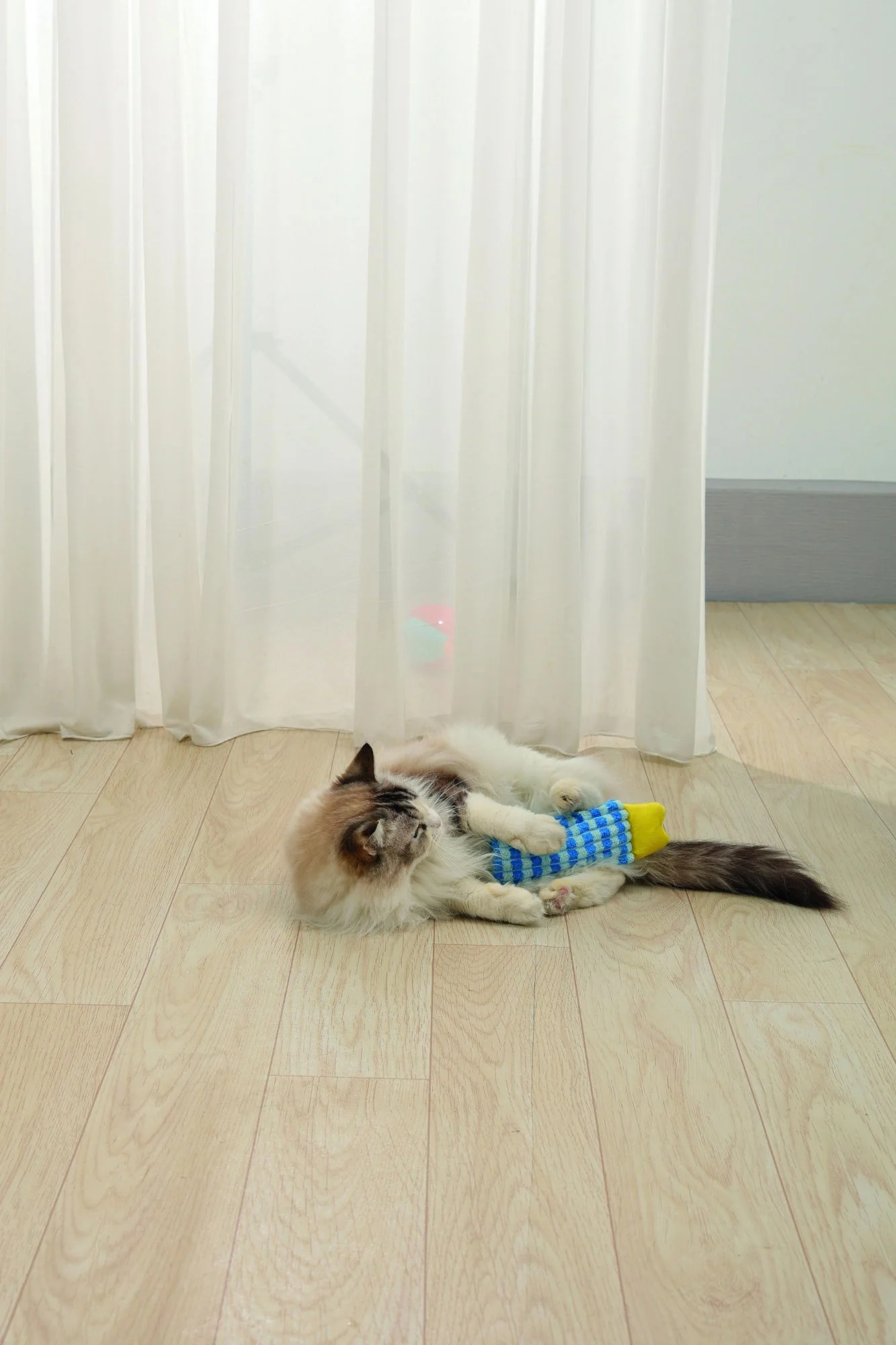 M-PETS Herby Catnip Toy Assorted - Image 2