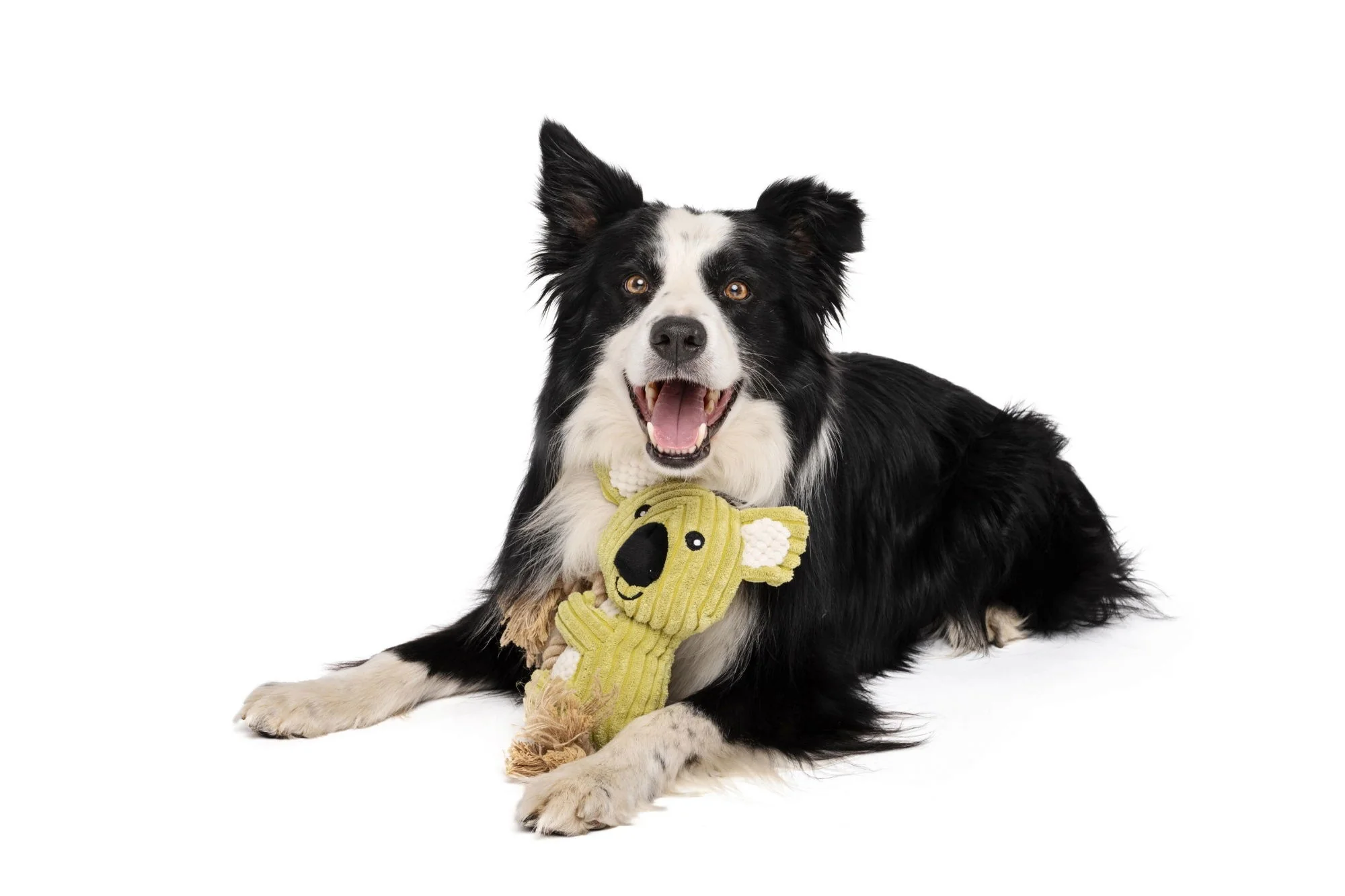 M-PETS Lars Eco Dog Toys - Image 2