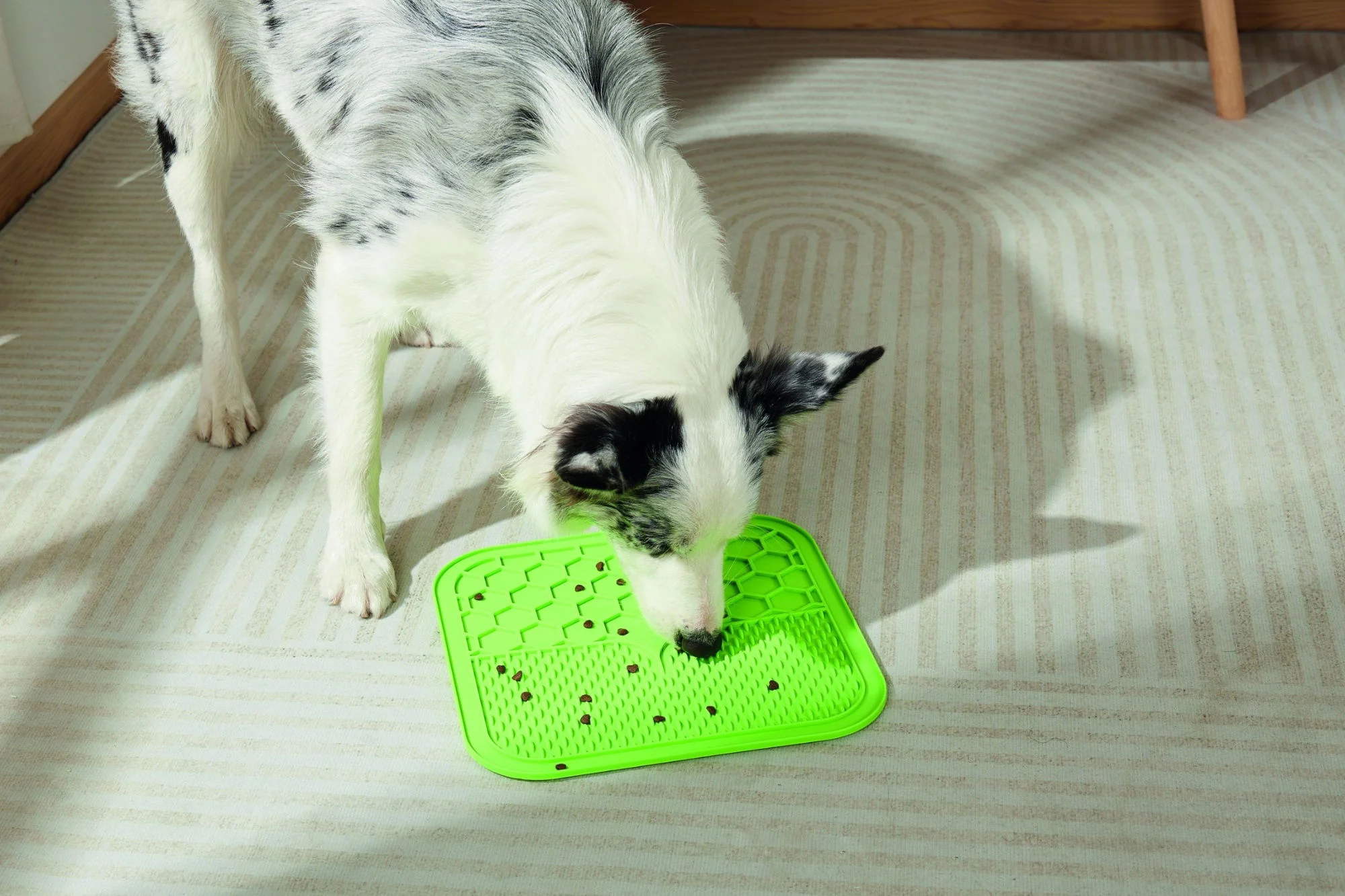 M-PETS Lecca Mat Green Large - Image 3