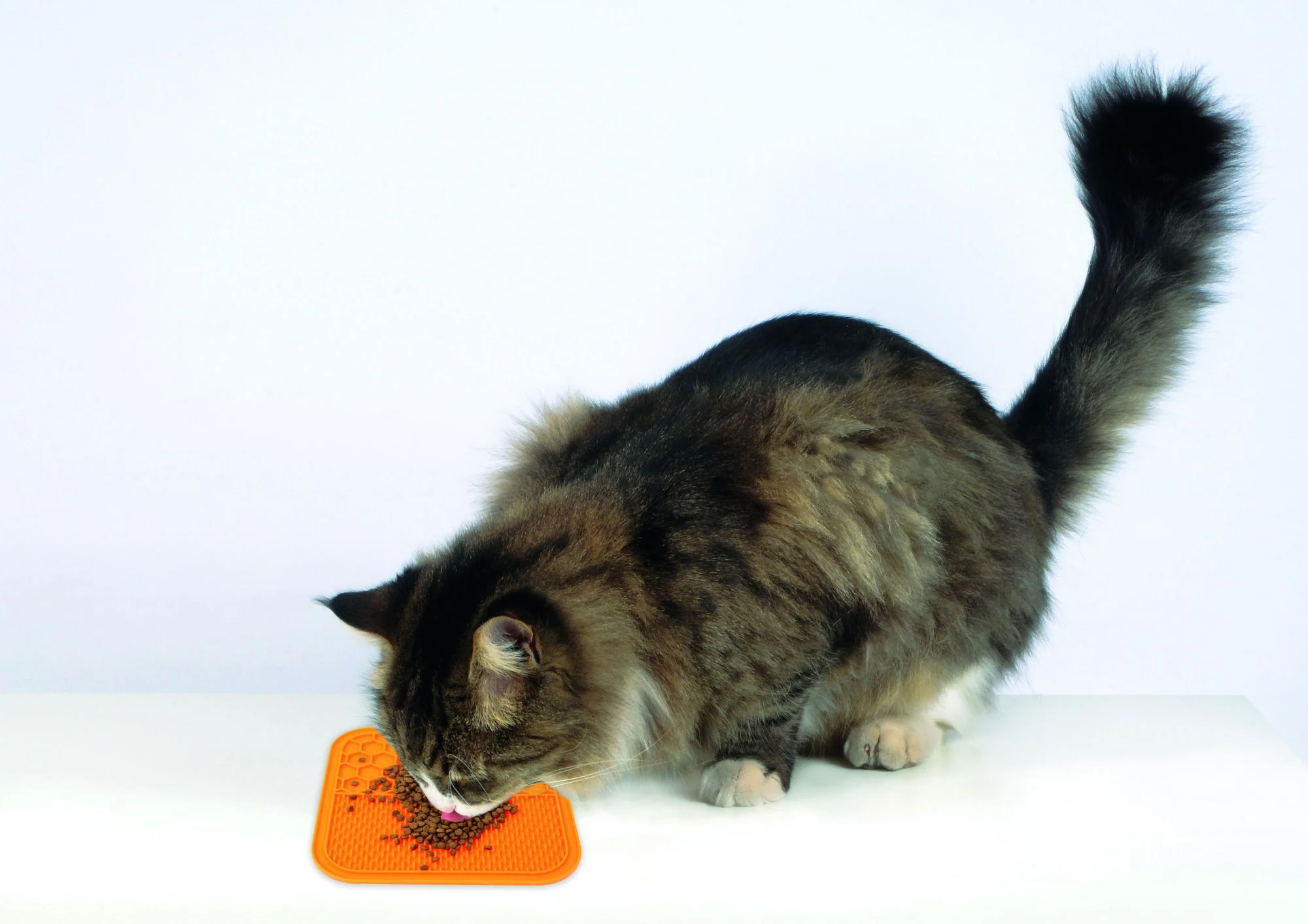 M-PETS Lecca Mat Orange Medium - Image 2