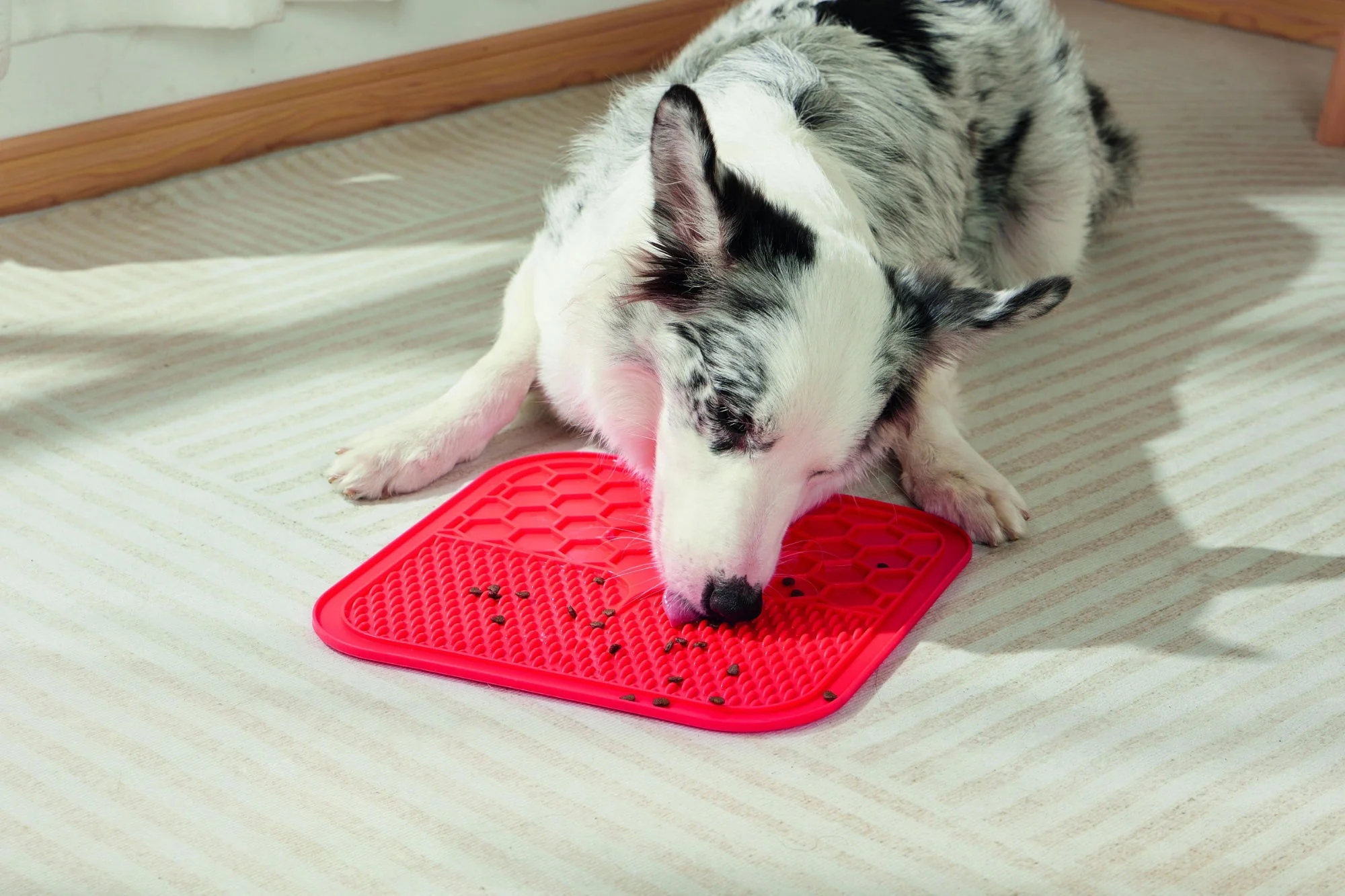 M-PETS Lecca Mat Red Large - Image 3