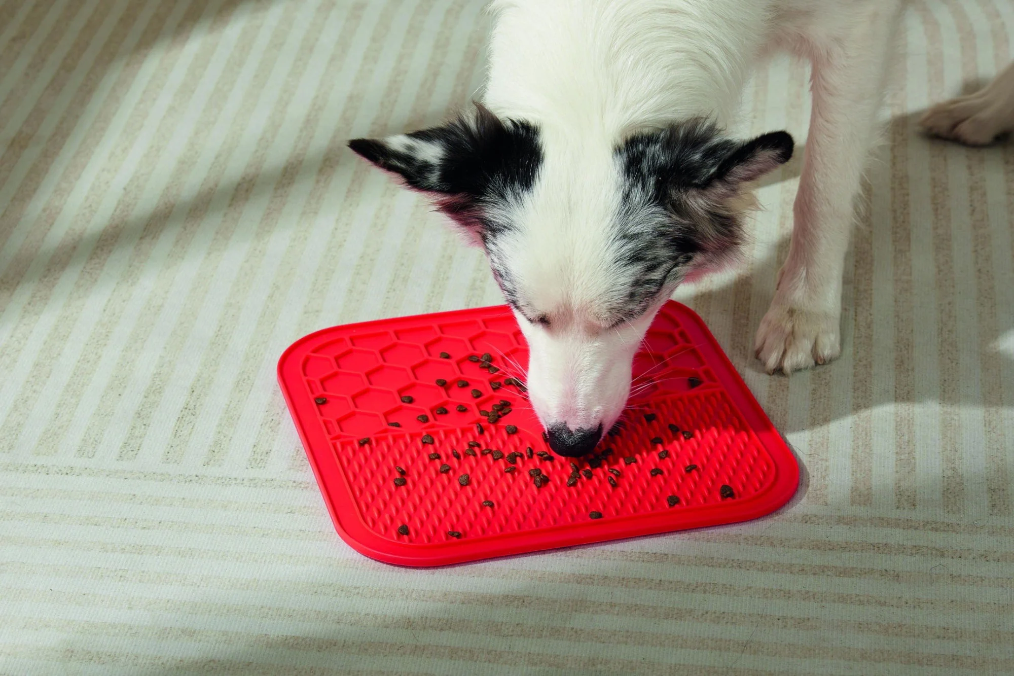 M-PETS Lecca Mat Red Large - Image 4