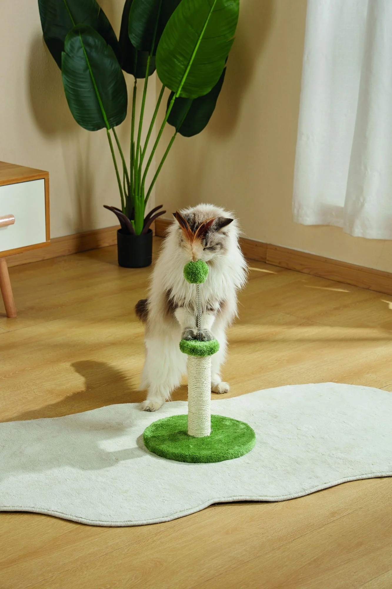 M-PETS My First Cat Tree Feather Green - Image 3