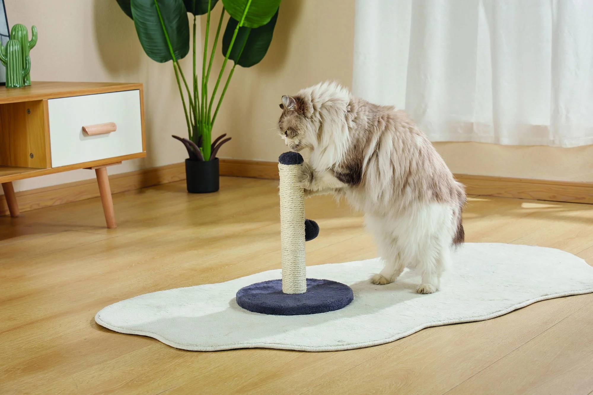 M-PETS My First Cat Tree Pompom Dark Blue - Image 3