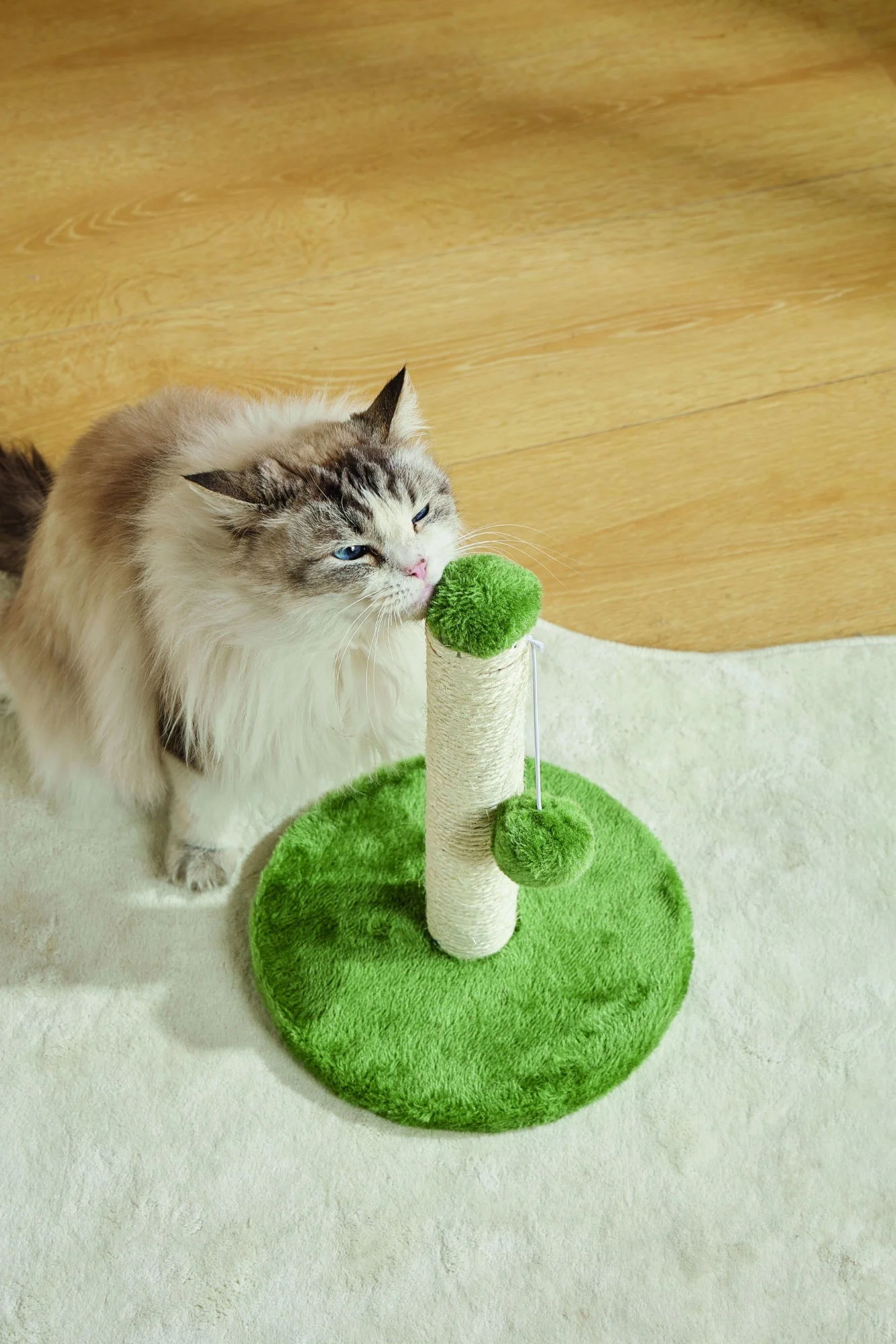 M-PETS My First Cat Tree Pompom Green - Image 3