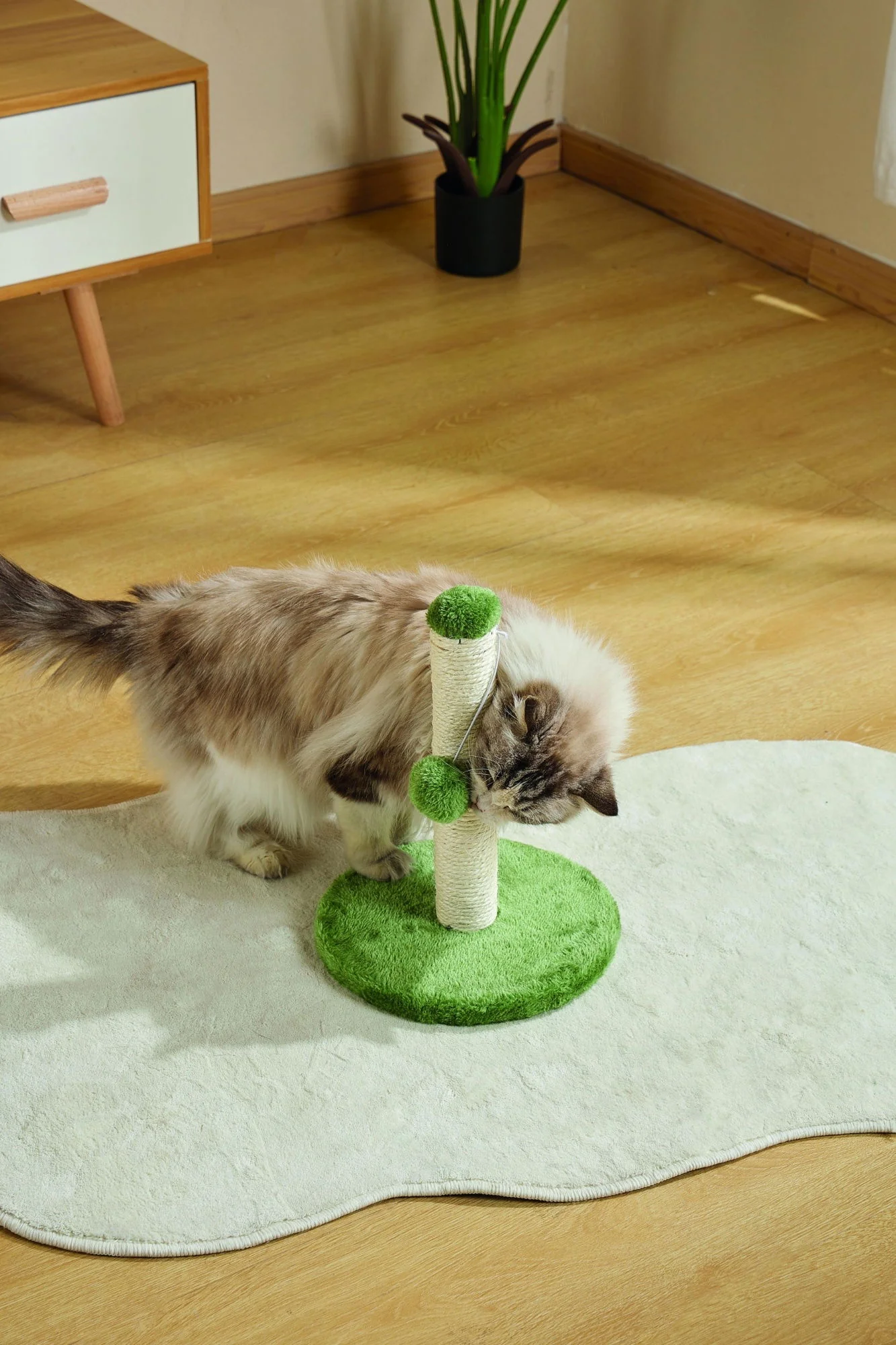 M-PETS My First Cat Tree Pompom Green - Image 4