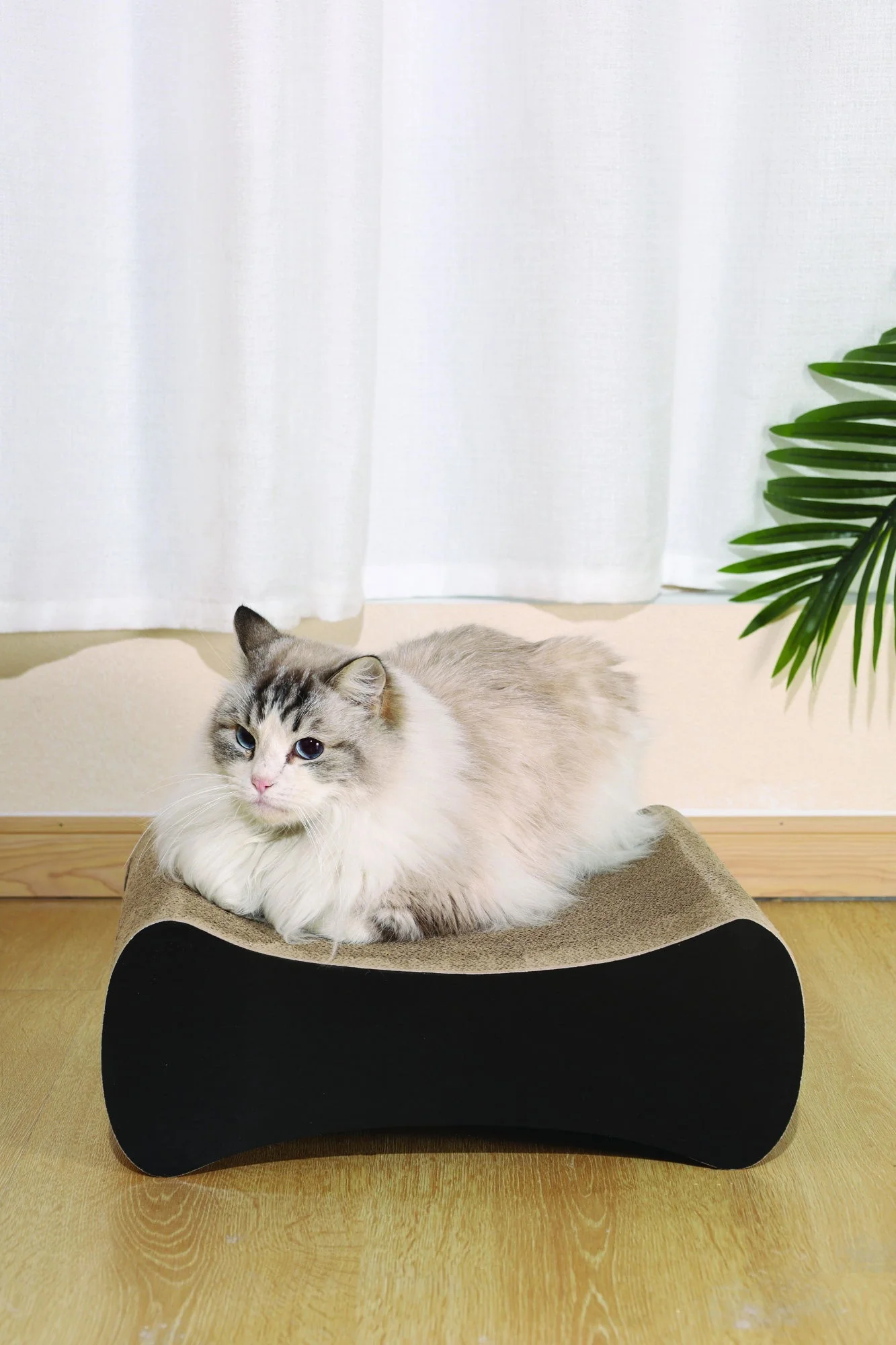 M-PETS My Scratchy Cat Cardboard Scratchers - Columbia - Image 3