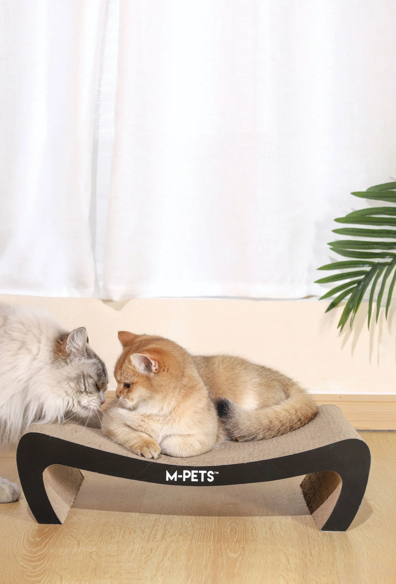 M-PETS My Scratchy Cat Cardboard Scratchers - Kansas - Image 3