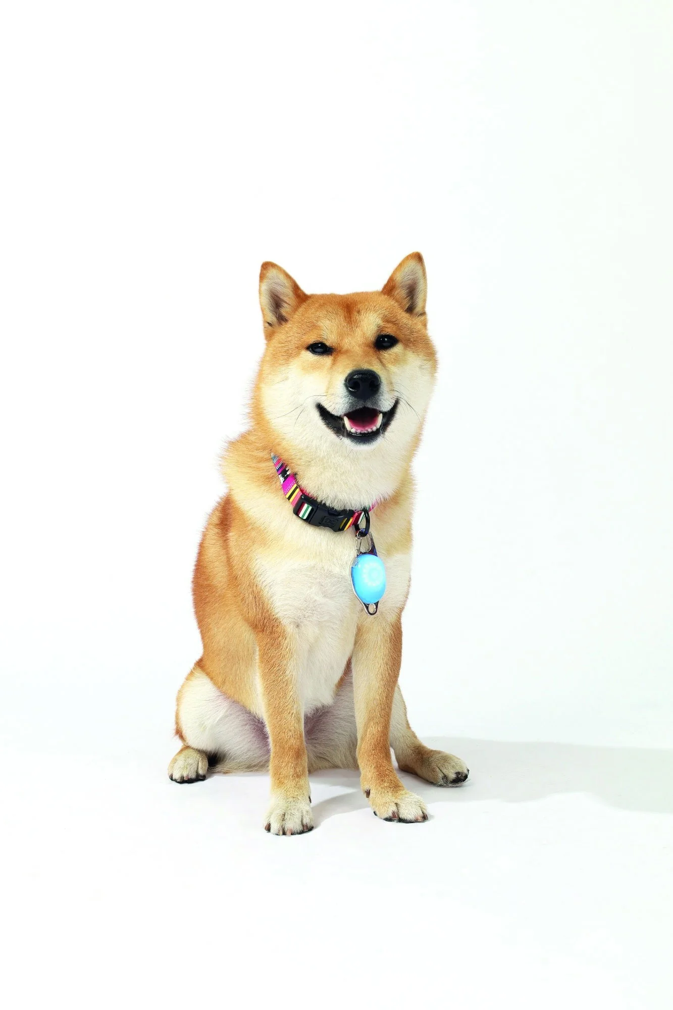 M-PETS Rechargeable Led Jewel For Dog - Blue - Image 2