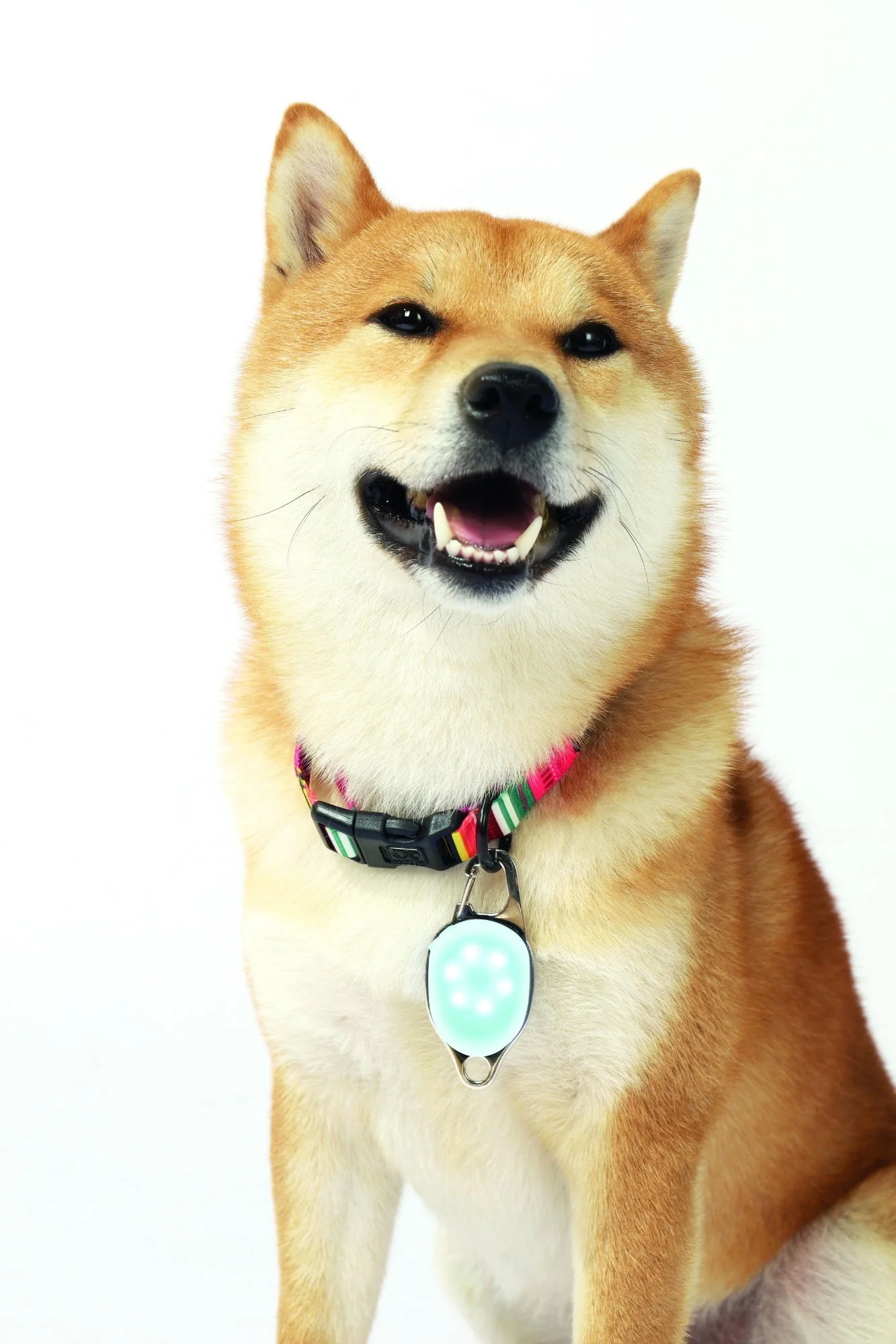 M-PETS Rechargeable Led Jewel For Dog - White - Image 2