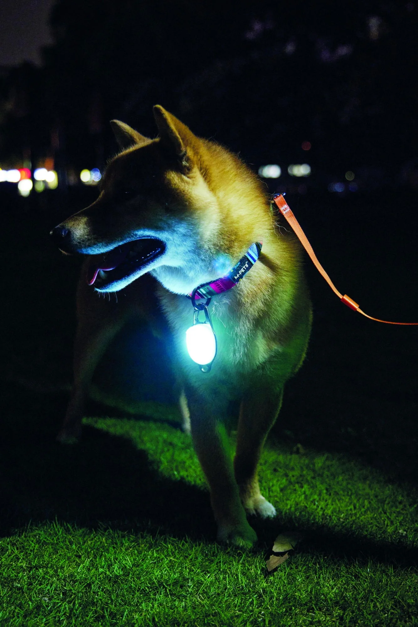 M-PETS Rechargeable Led Jewel For Dog - White - Image 3