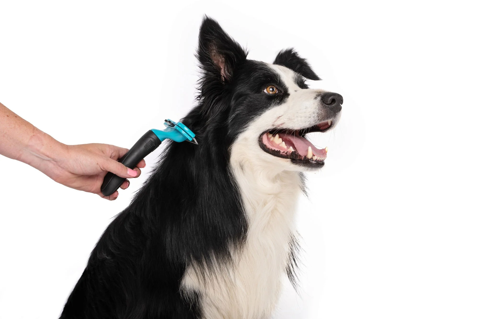 M-PETS Stylus Deshedding Brush - Large - Image 3