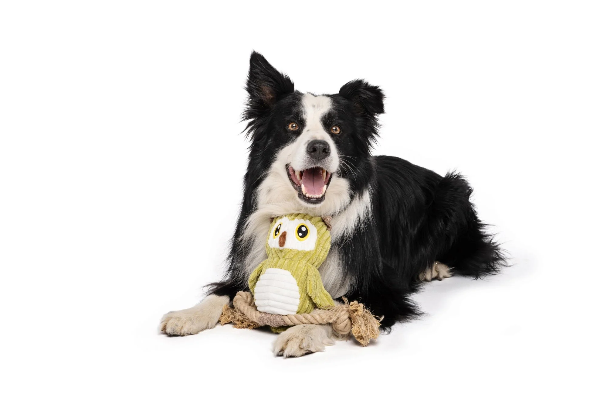 M-PETS Thor Eco Dog Toys - Image 2