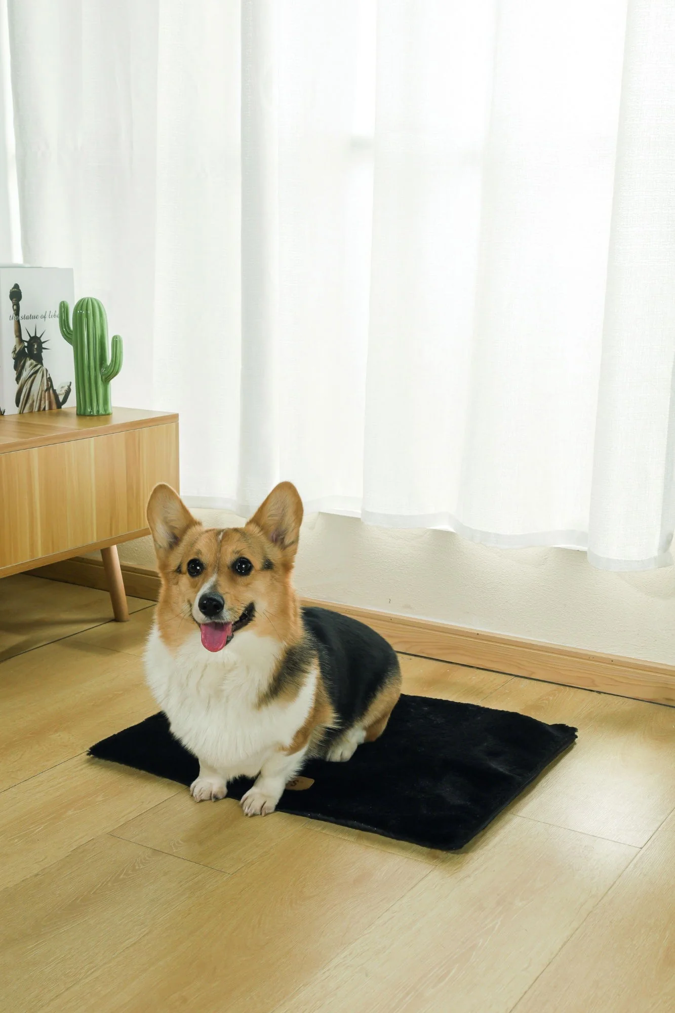 M-PETS Warmo Self Heating Mat Small - Image 2