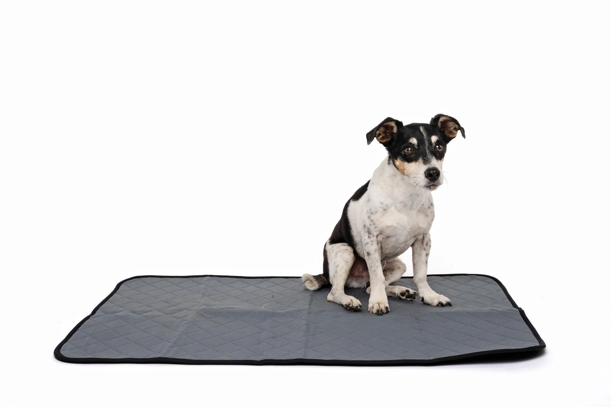 M-PETS Washable Training Pad - Medium - Image 2