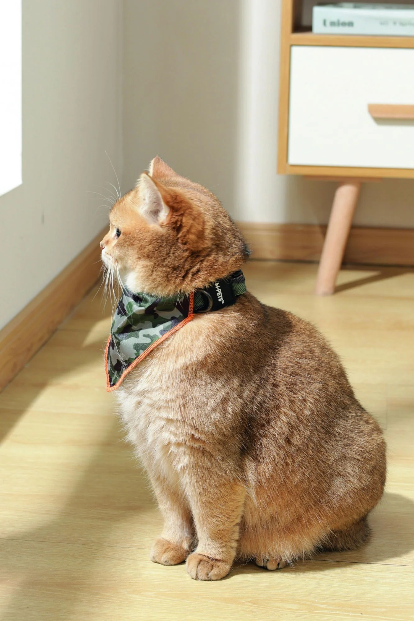 M-PETS Wild Jungle Bandana Xtra Small - Image 4