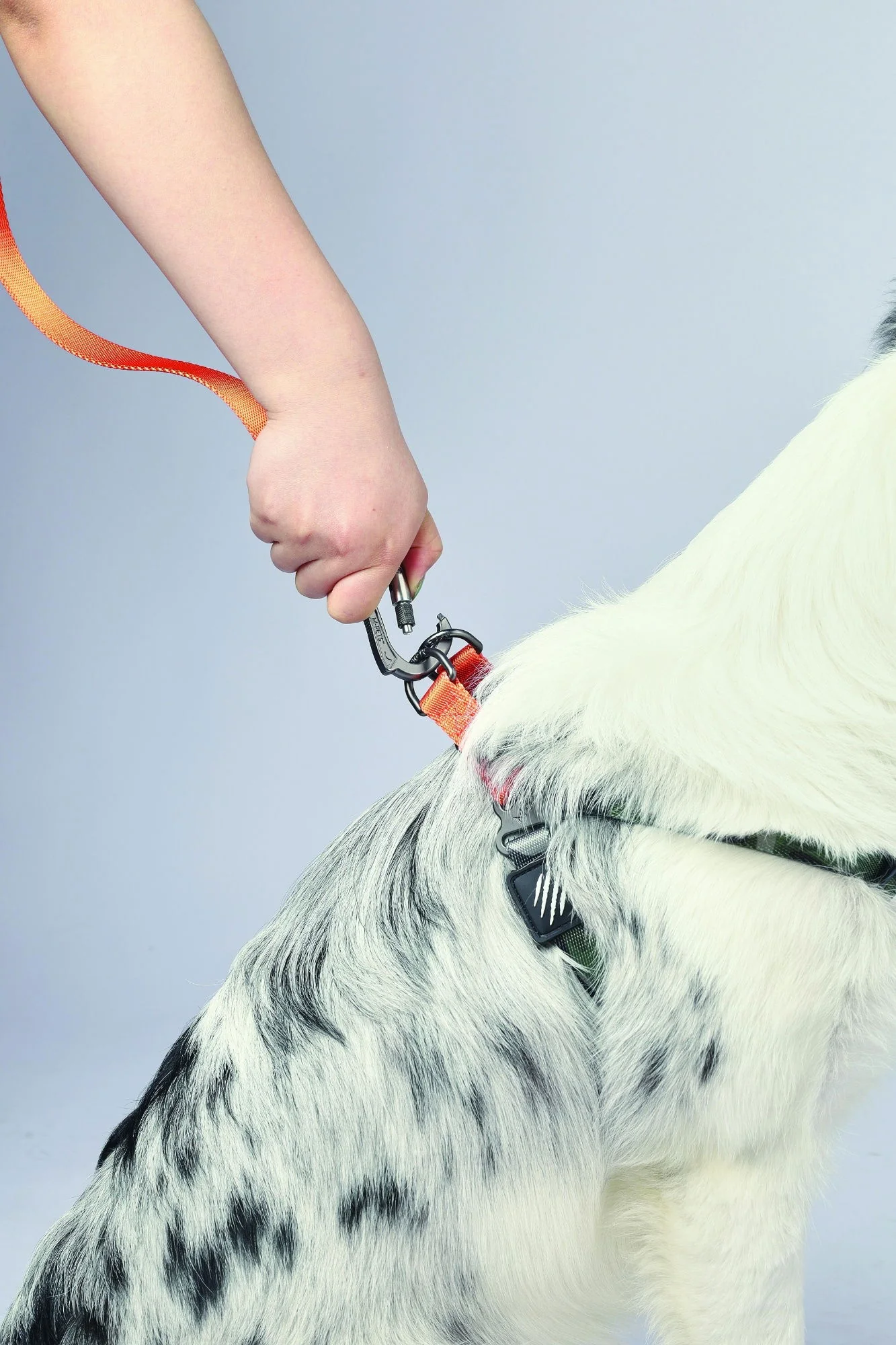 M-PETS Wild Jungle Regular Leash L-Xl - Image 3