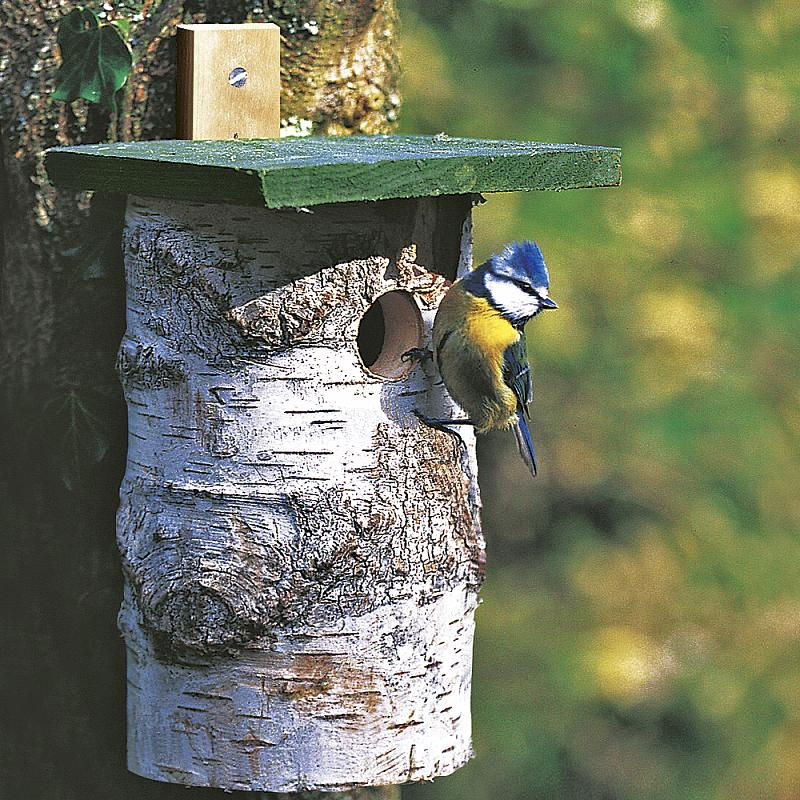 National Trust Birch Log Nest Box 32mm Hole - Image 2