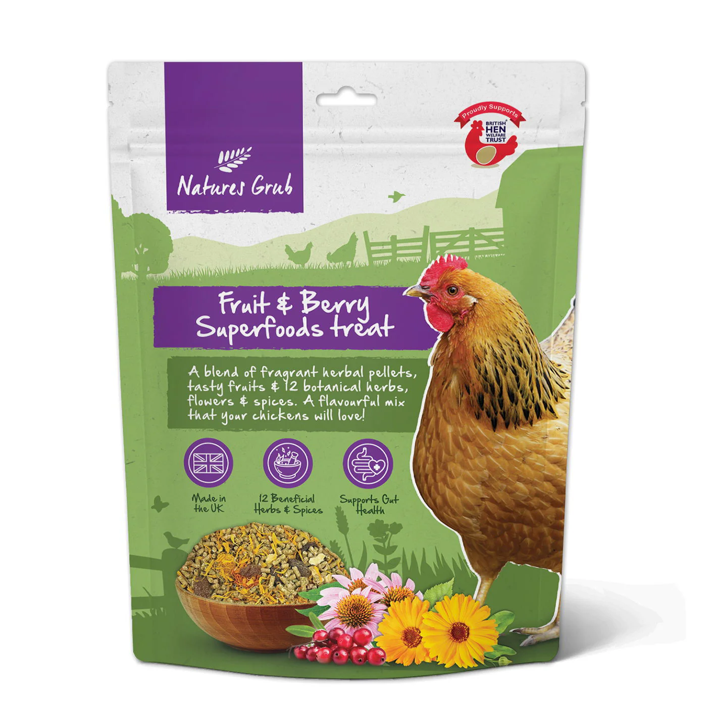 Natures Grub Fruit & Berry Superfoods Treat 600g