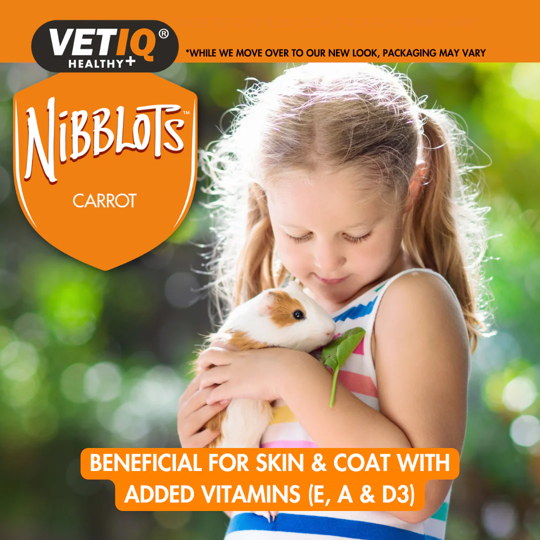 Nibblots For Small Animals Carrot 30g - Image 3