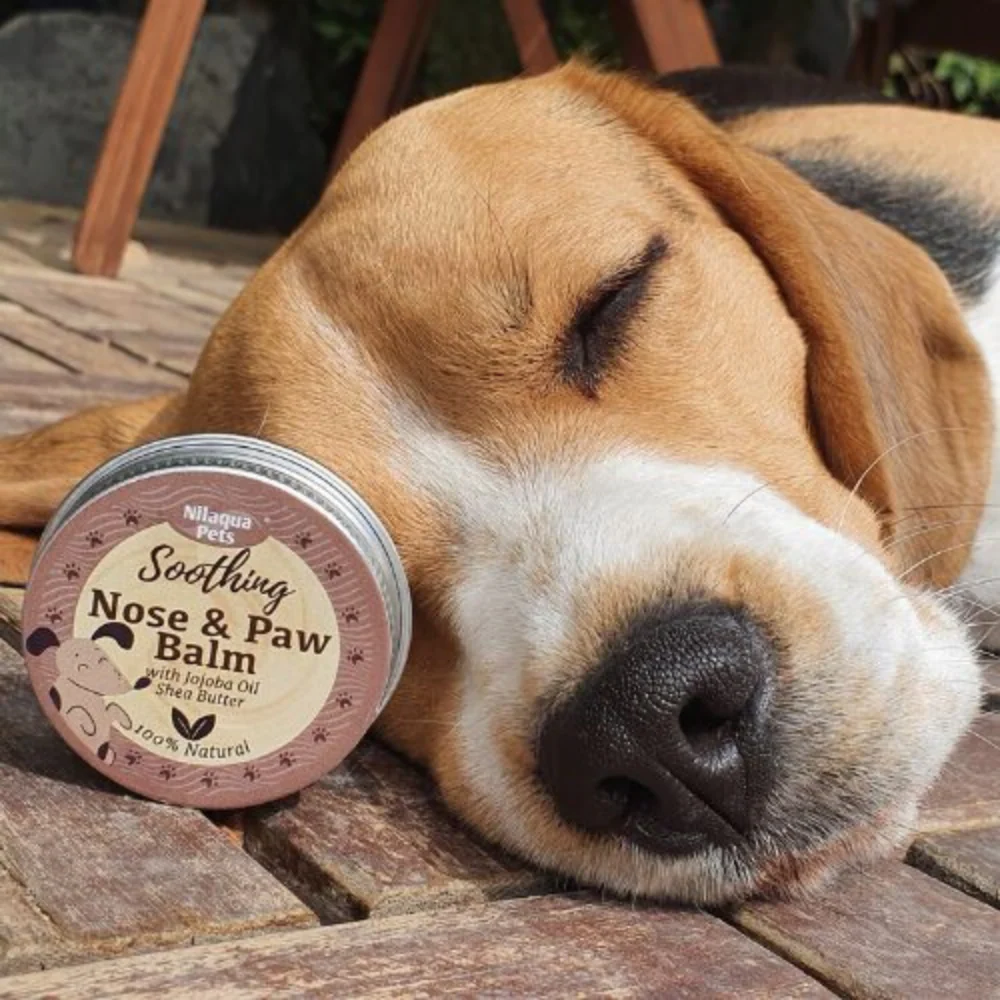Nilaqua Paw & Nose Balm - Soothing Jojoba - 30g - Image 3