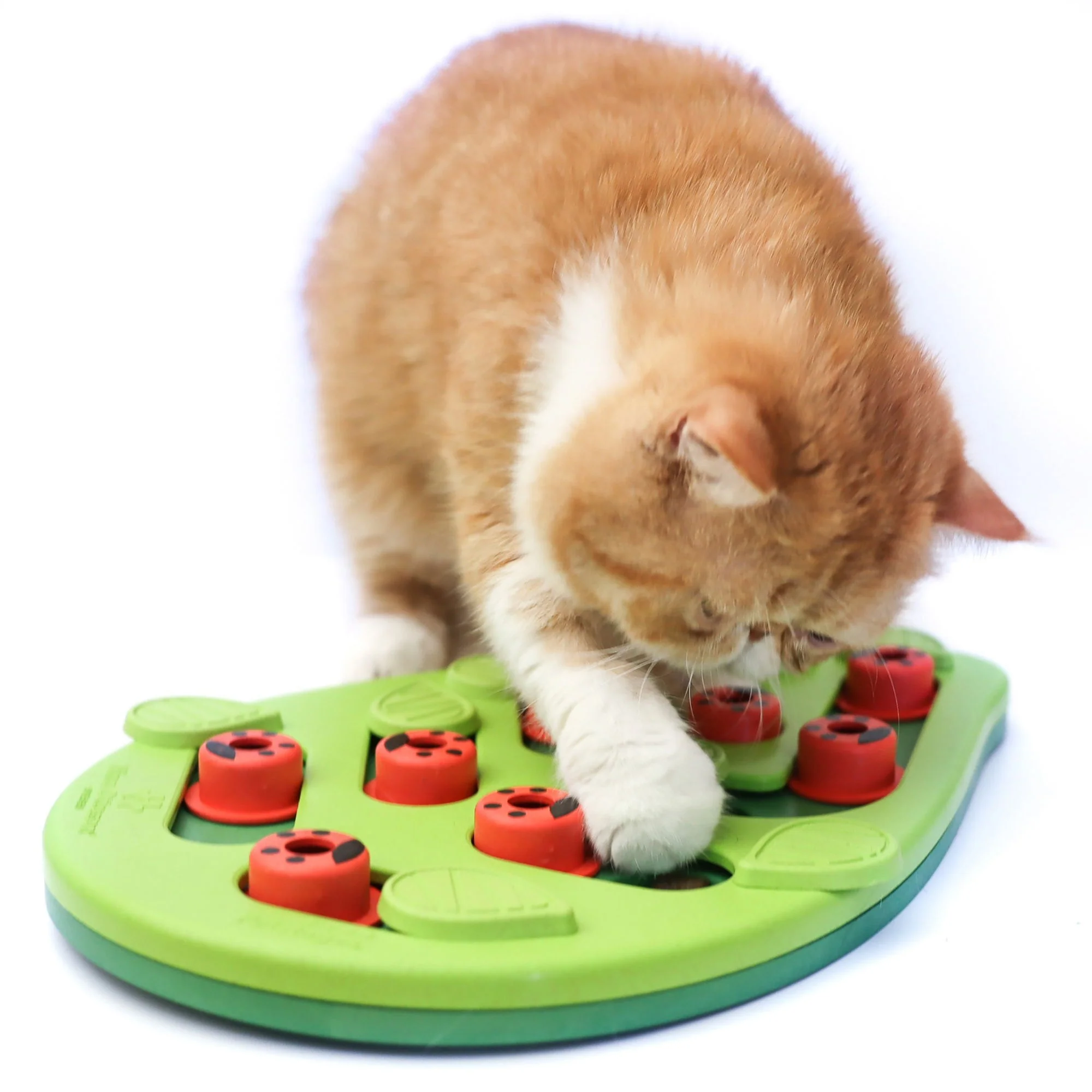 Nina Ottosson Puzzle & Play Buggin Out Green - Image 5