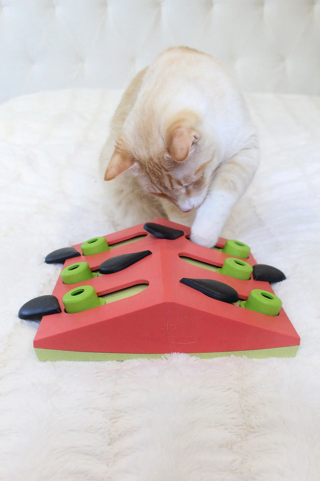 Nina Ottosson Puzzle & Play Melon Madness Pink - Image 4