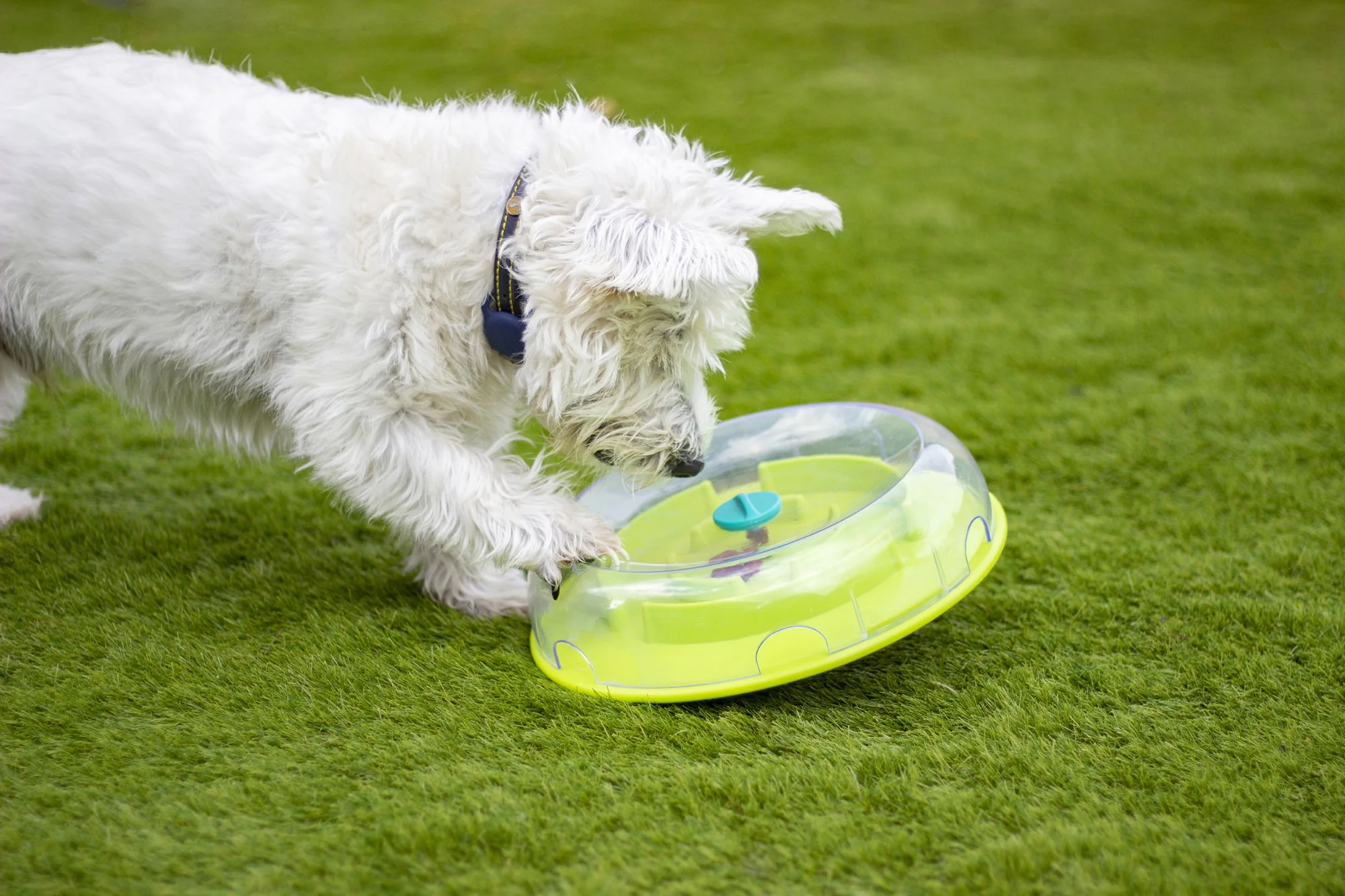 Nina Ottosson Wobble Bowl - Image 2